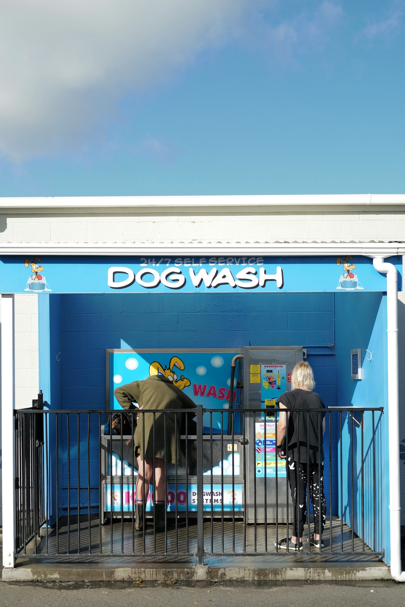 Dog wash facility with blue exterior and people washing dogs