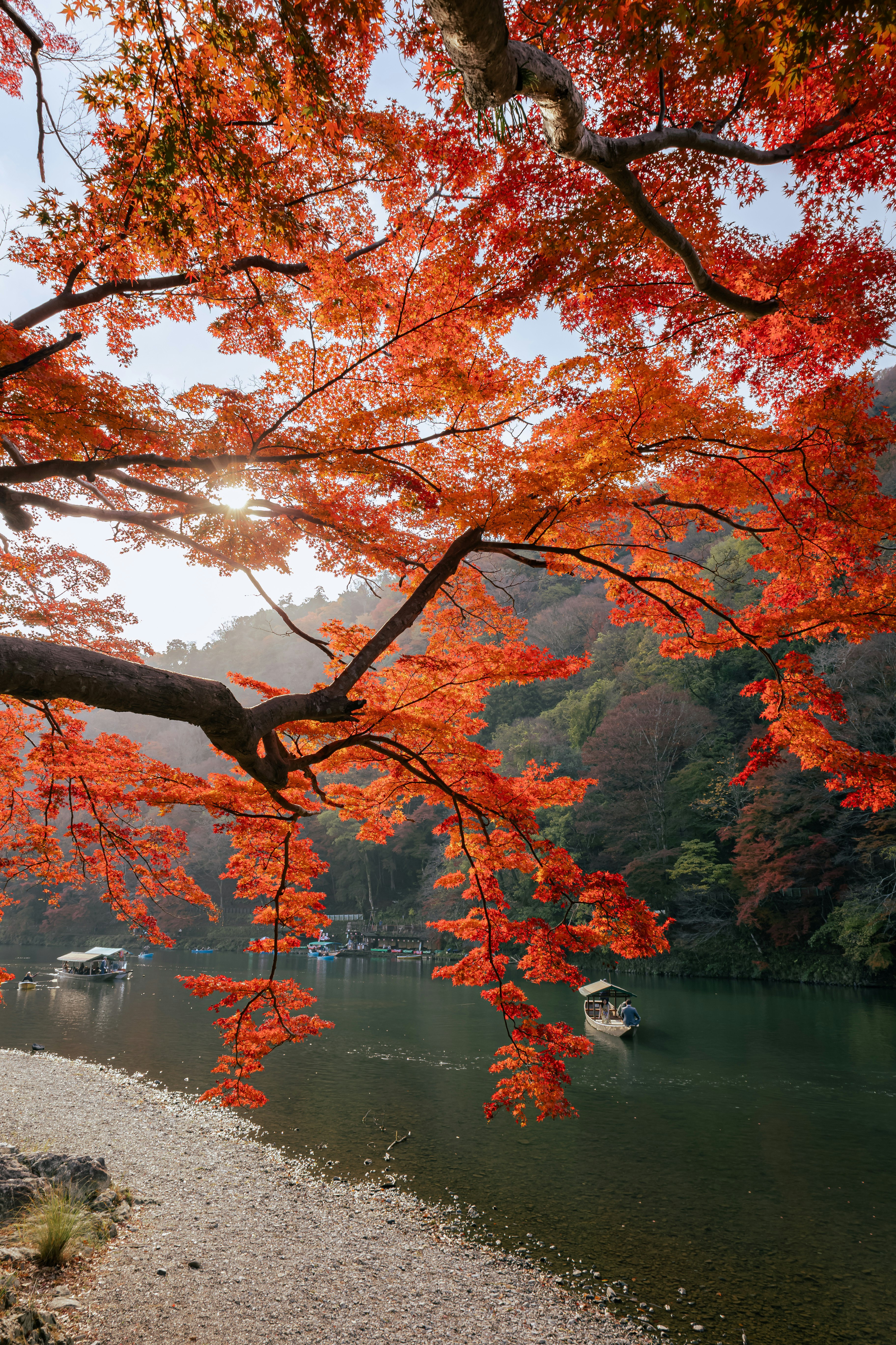 Foglie d’autunno di Arashiyama riflesse sul fiume