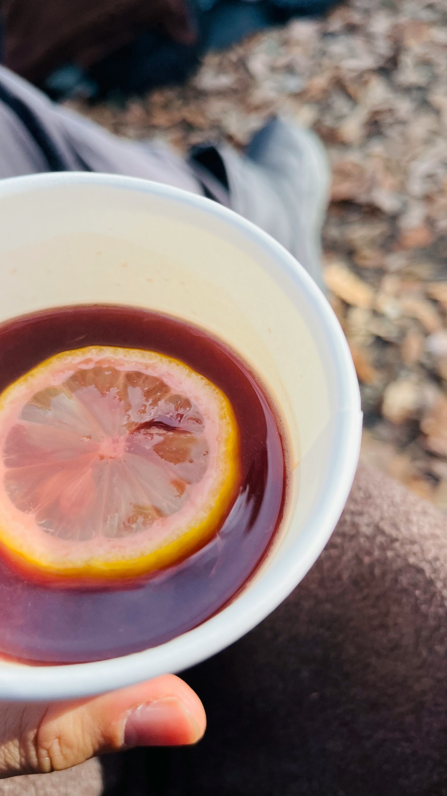Una taza con una rodaja de limón flotando en un líquido marrón oscuro