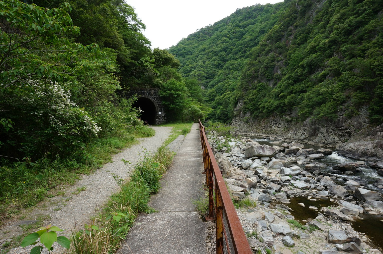 Sentier le long d'une rivière entourée de verdure avec une entrée de tunnel