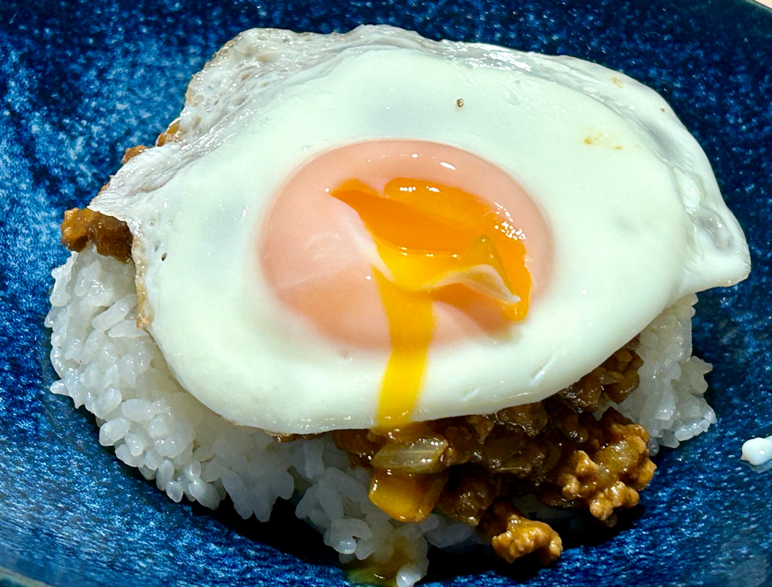 一道白米饭上放着煎蛋和碎肉的菜肴