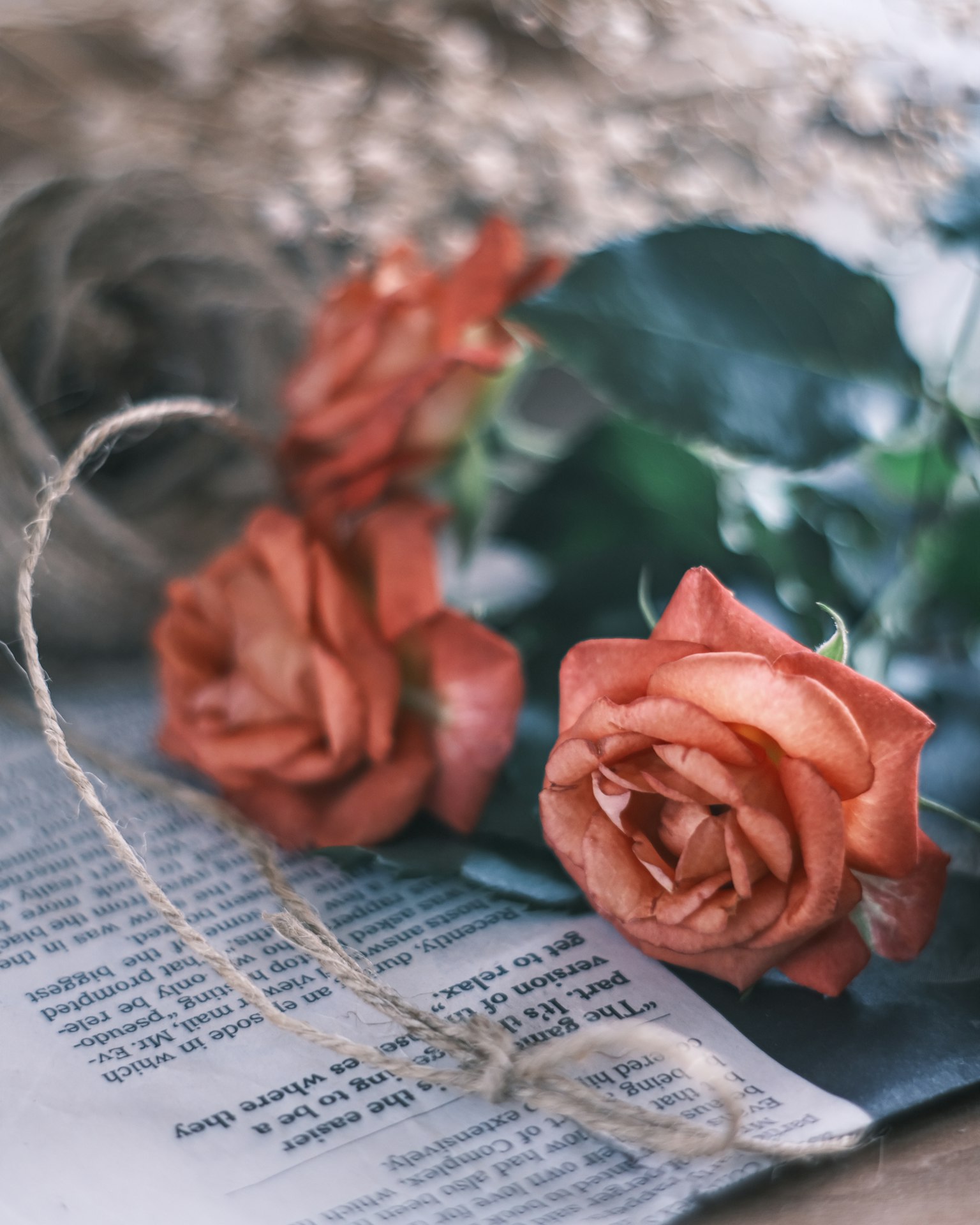 Beautiful arrangement of pink roses placed on an open book