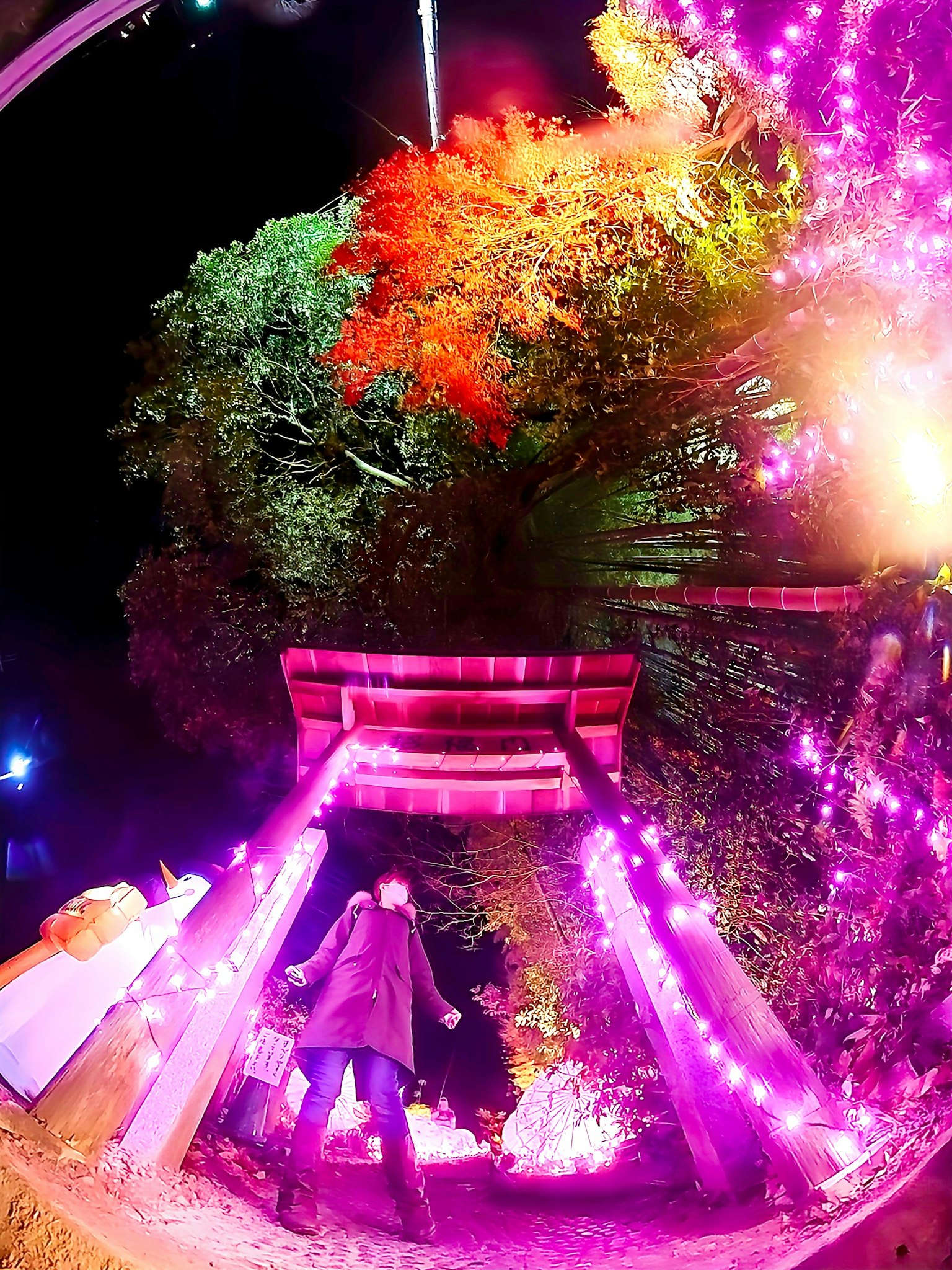 Eine lebendige Nachtszene mit einem Torii, das mit bunten Lichtern beleuchtet ist, und üppigen Bäumen