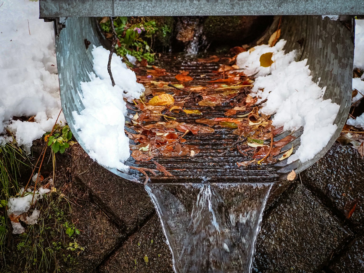 雪の中に落ち葉が詰まった雨樋から水が流れ出る様子