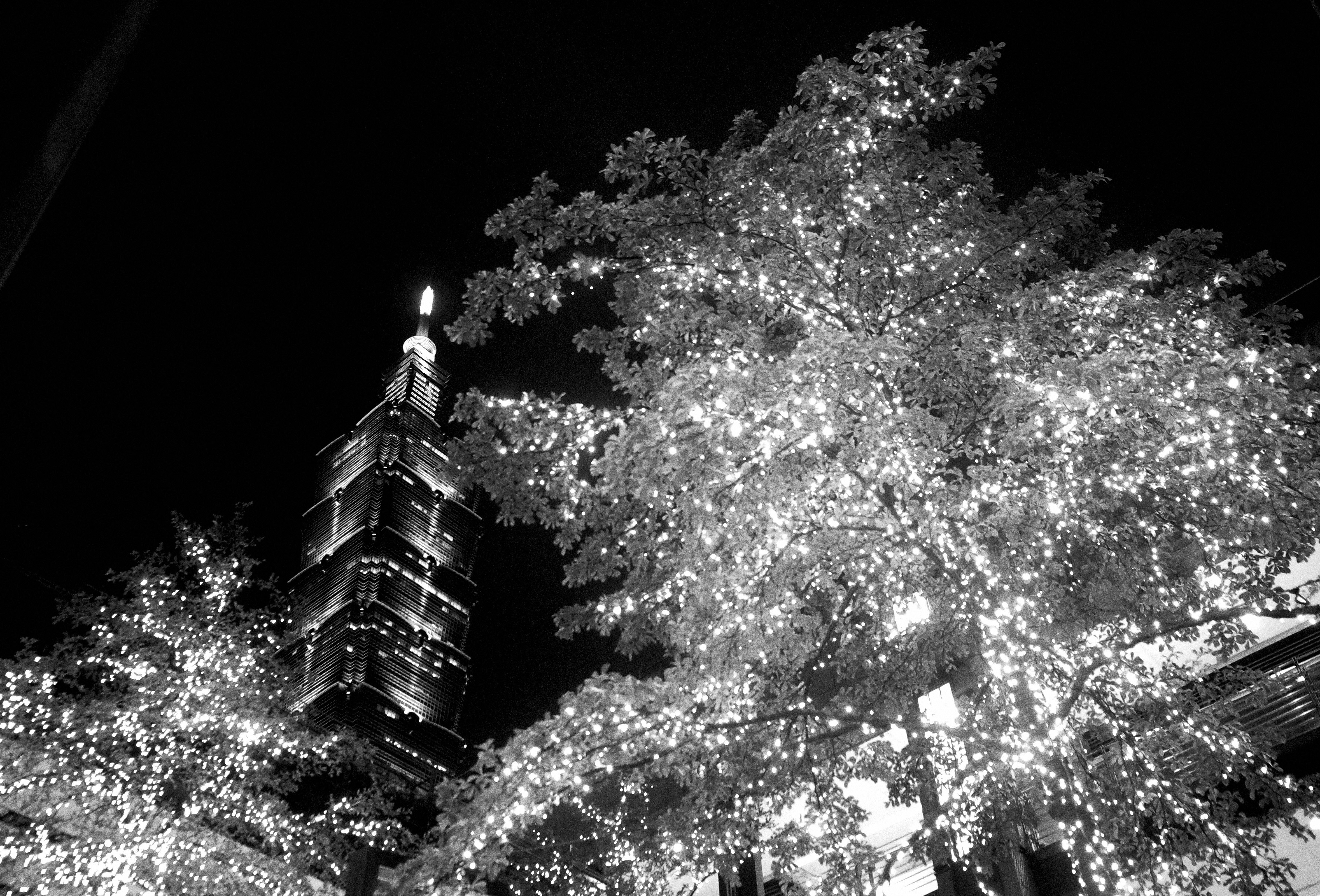 台北101と桜のような夜景の光が舞う街並み