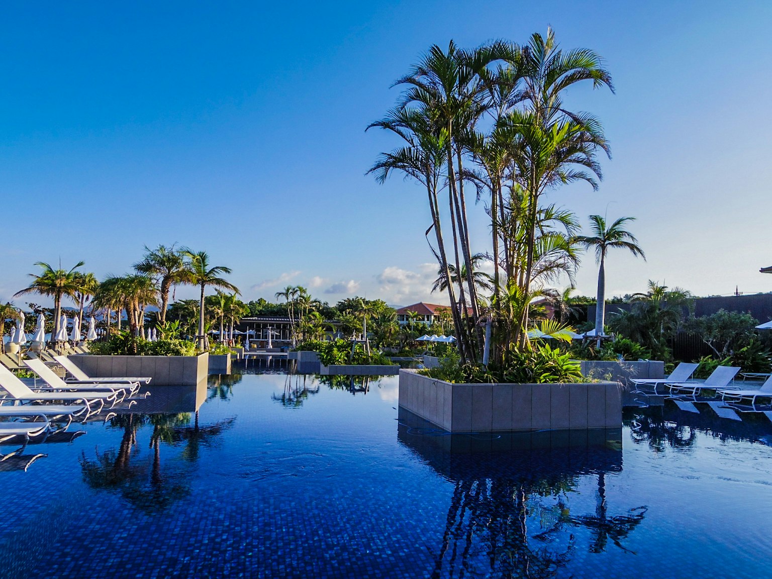 Resort scene featuring a pool and palm trees under a blue sky