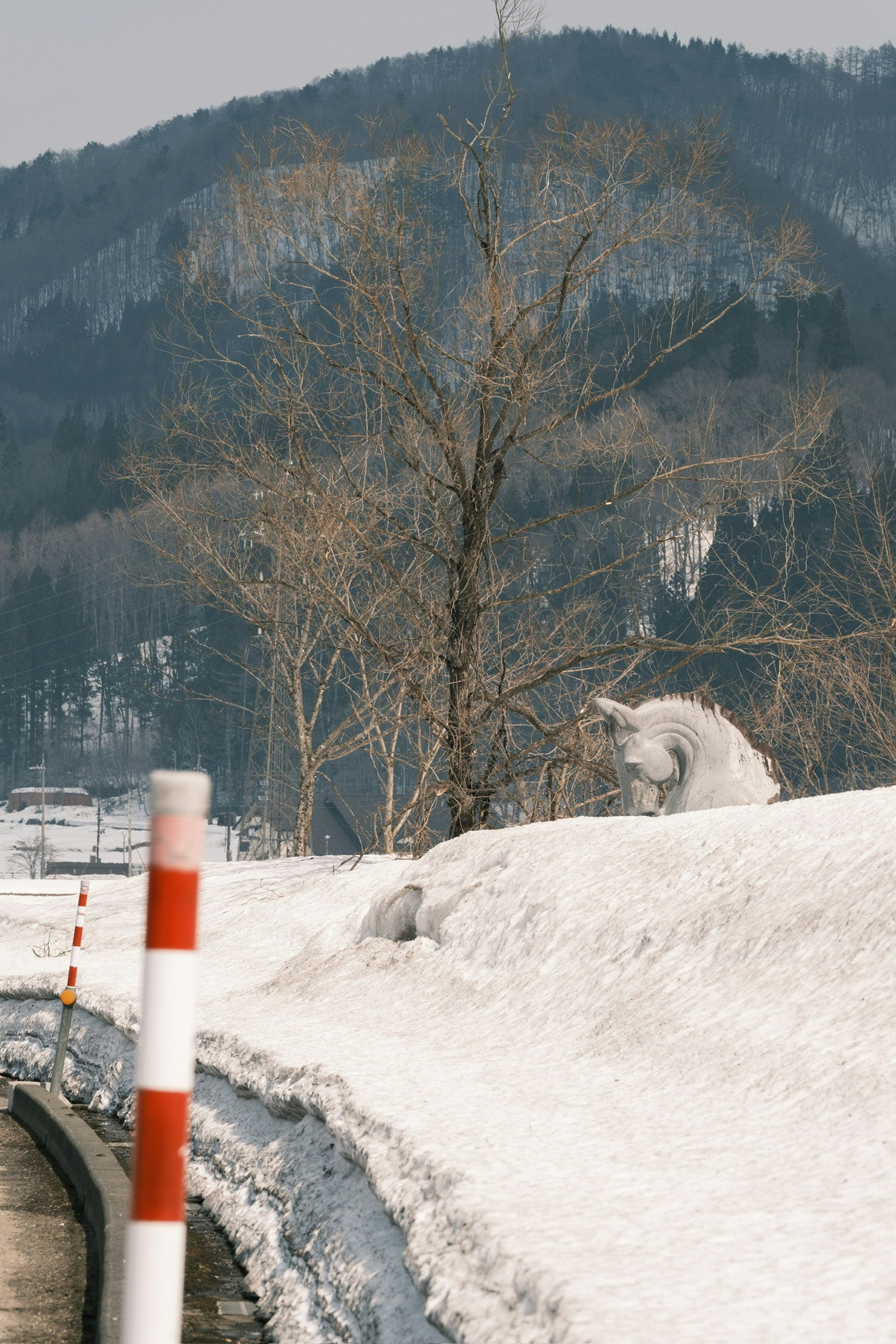 Un animale bianco su una strada innevata con un albero sullo sfondo