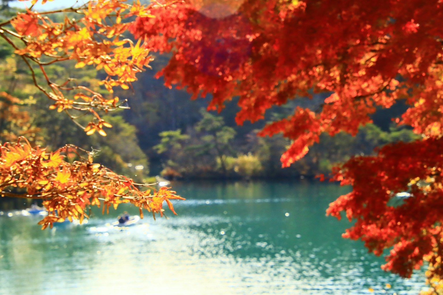 Vista serena di un lago circondato da un fogliame autunnale vibrante
