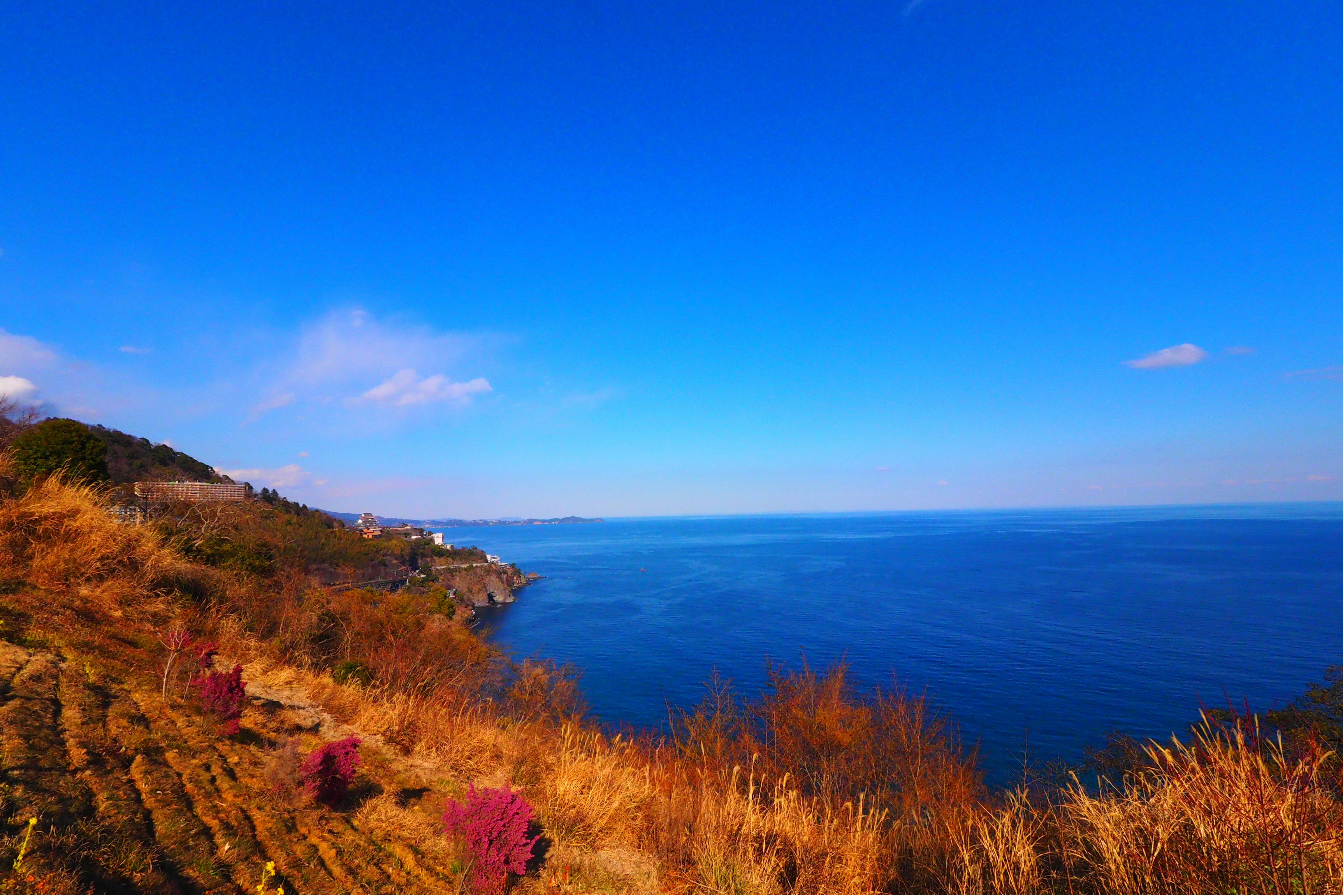 海を見下ろす断崖と草むらのある海岸の風景