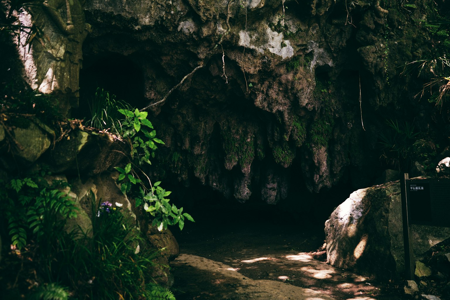 Entrance of a cave surrounded by lush greenery