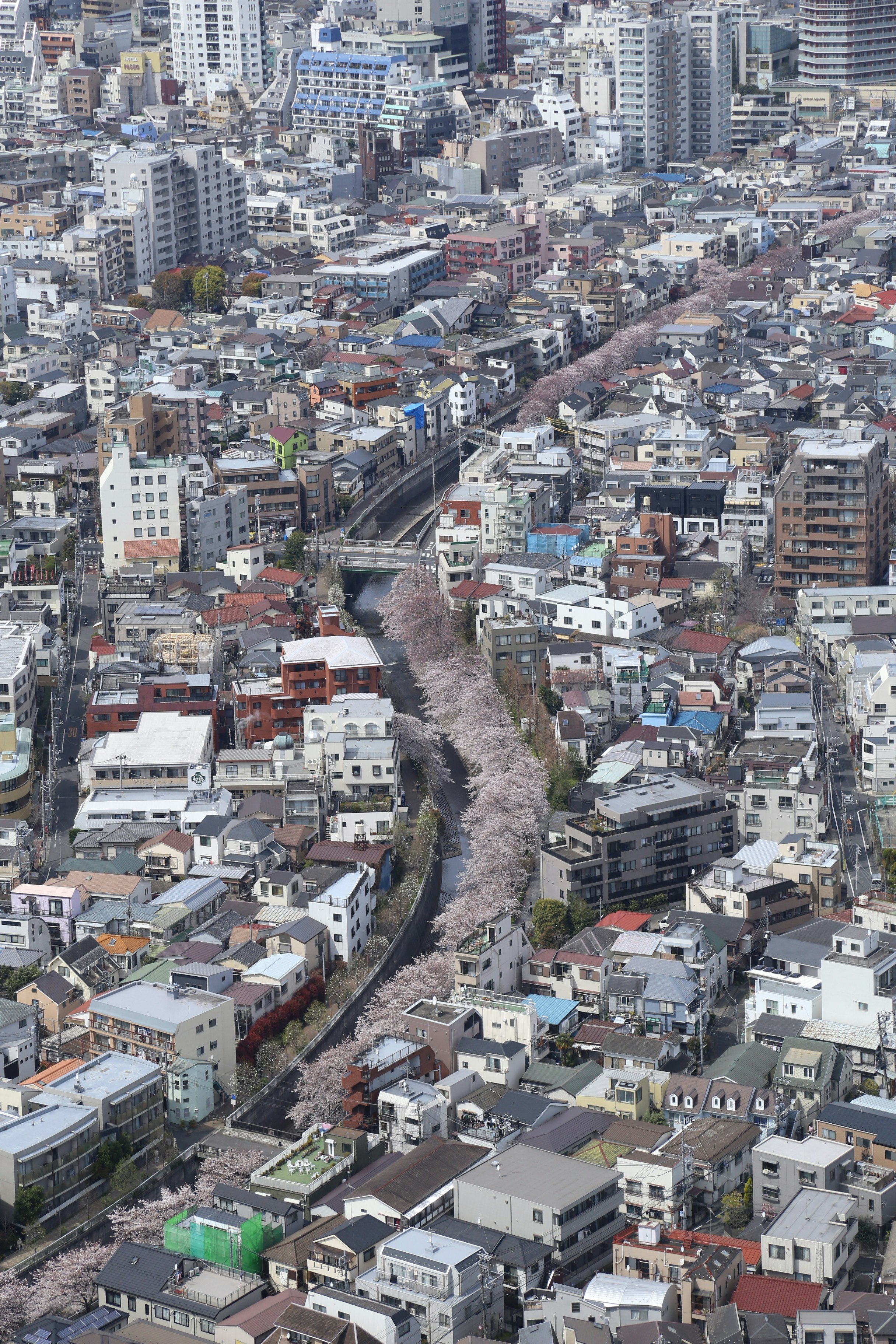 vista aerea di un quartiere residenziale lungo un fiume