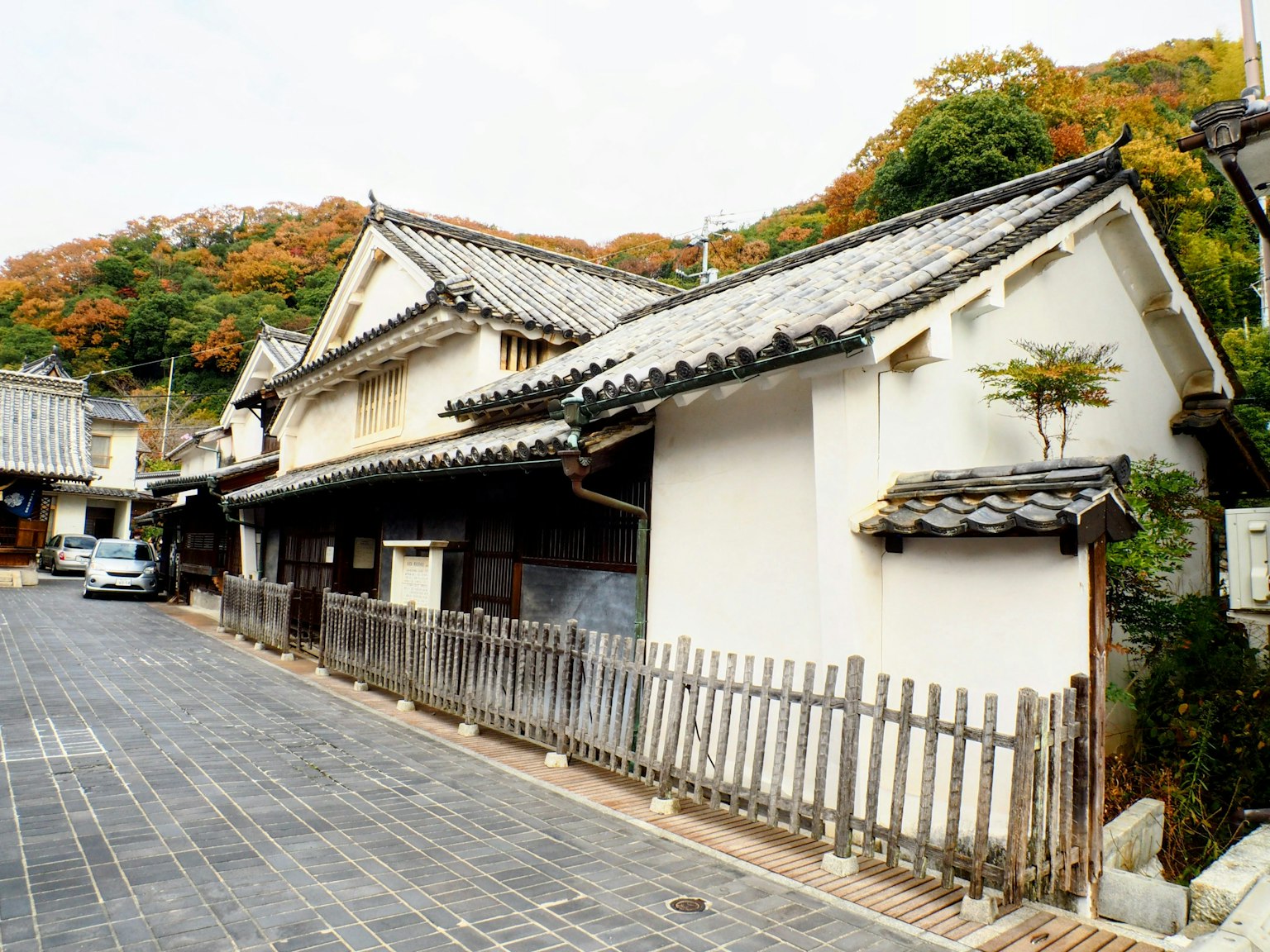 沿街而建的传统日本房屋和秋天的树叶