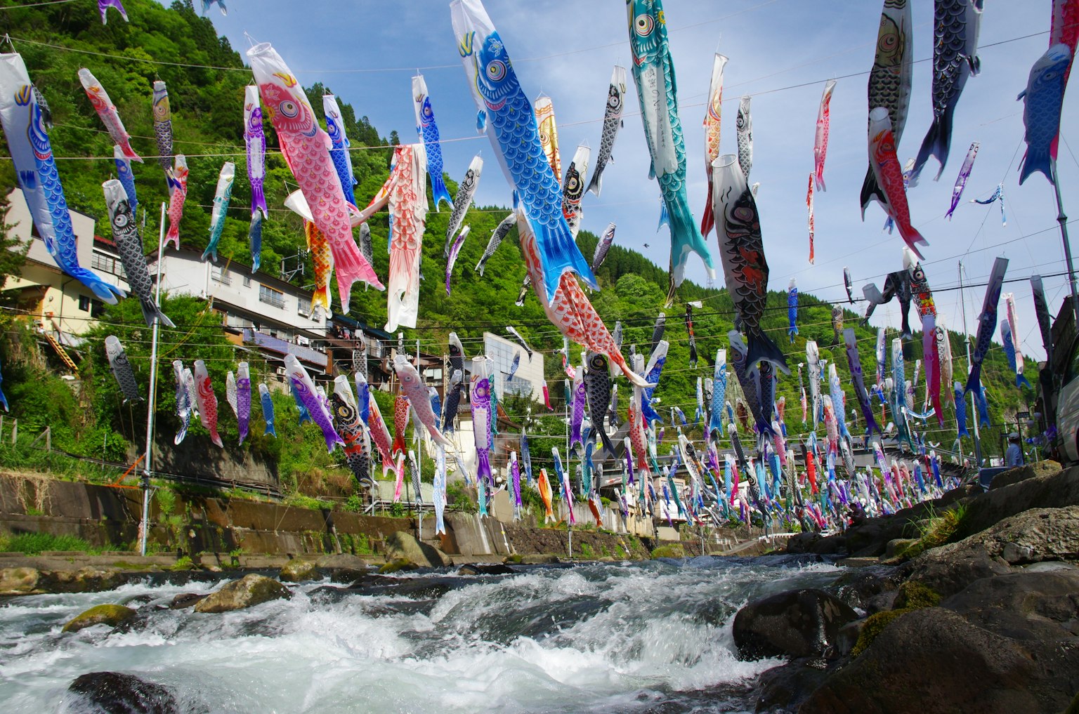 Bendera koi nobori berwarna-warni berkibar di atas sungai
