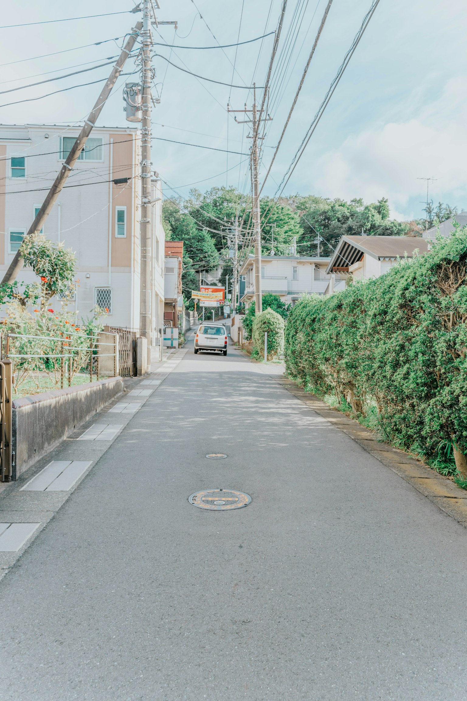 Quiet residential street with greenery and power lines
