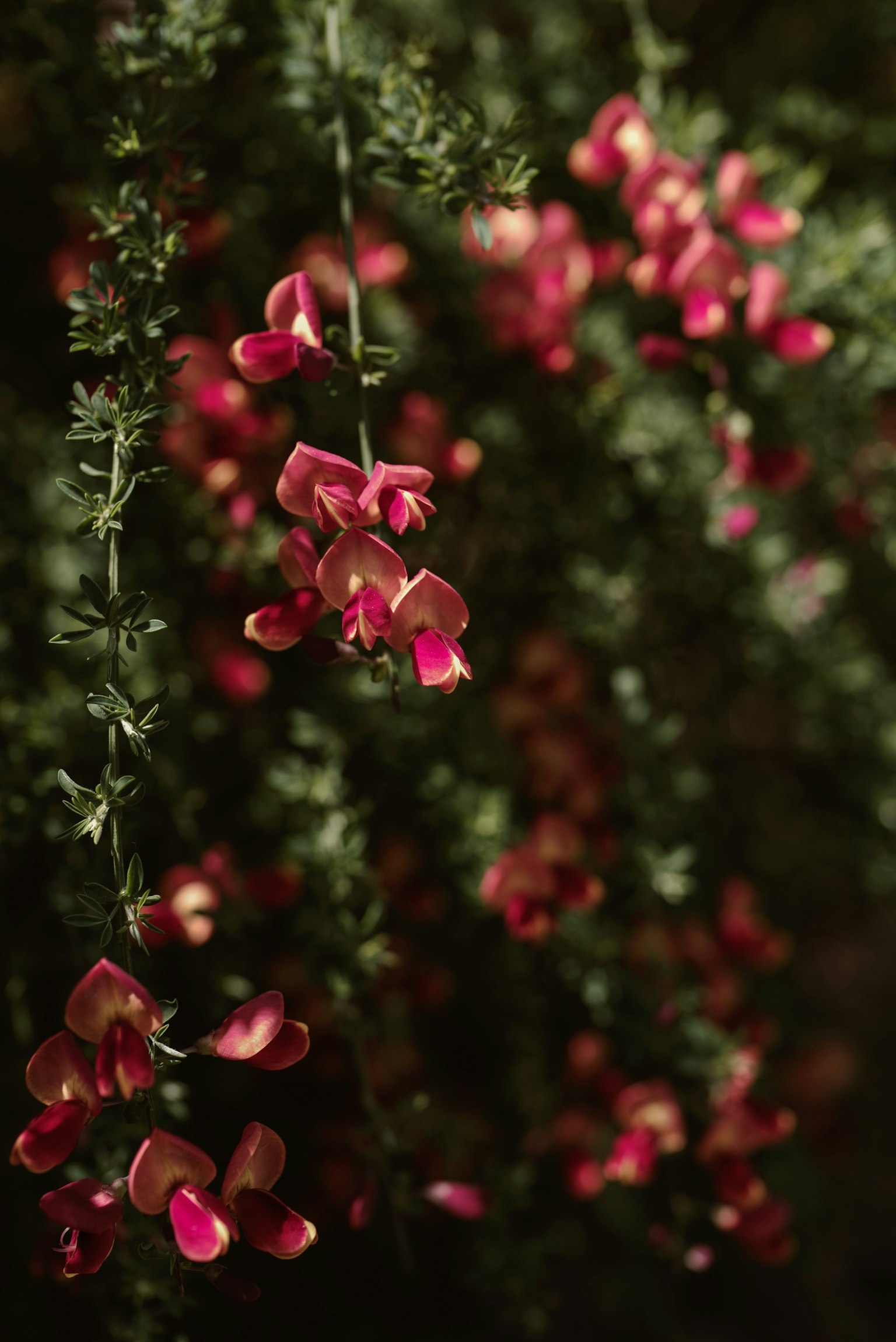 photo-hbA5BkYwEDnhgfs6kgDh-image