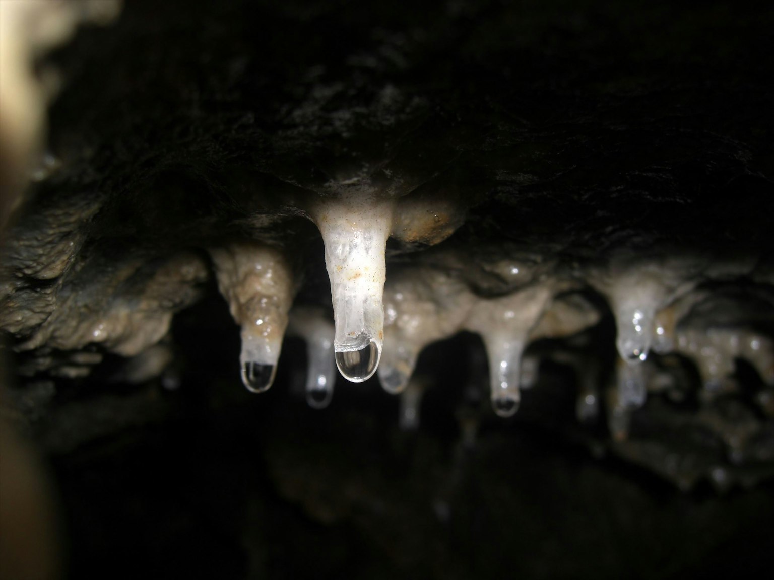 Gocce trasparenti appese a una formazione rocciosa