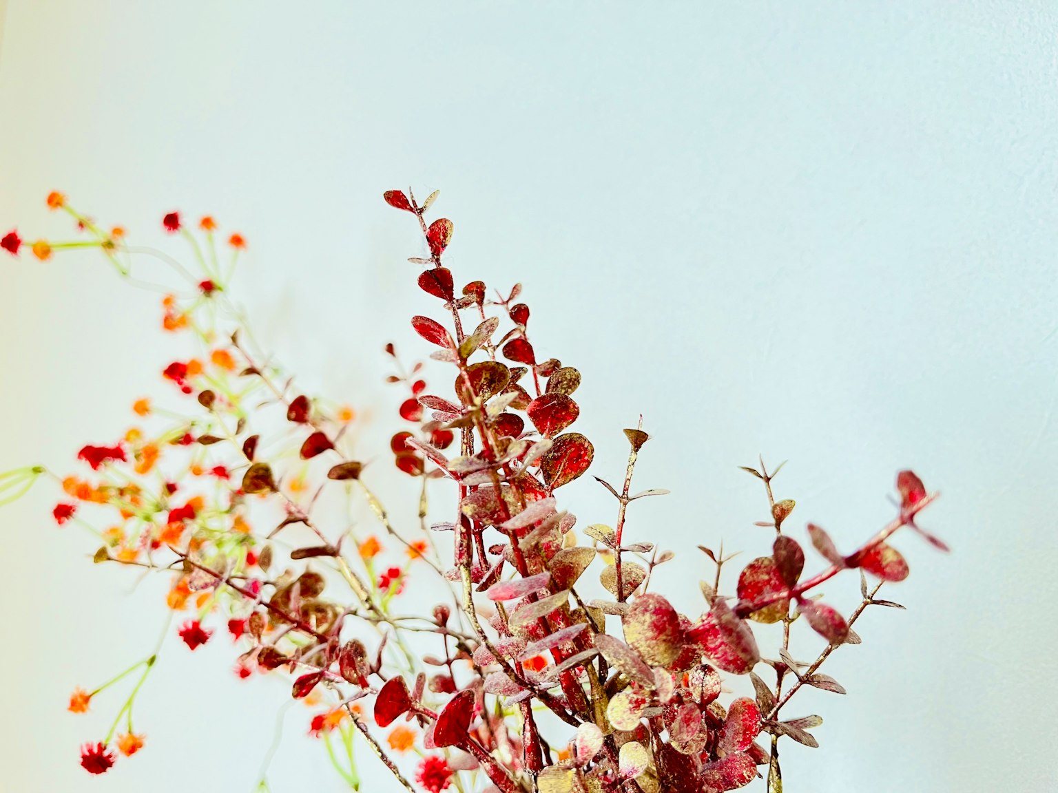A bouquet of plants with red and orange flowers arranged against a white background
