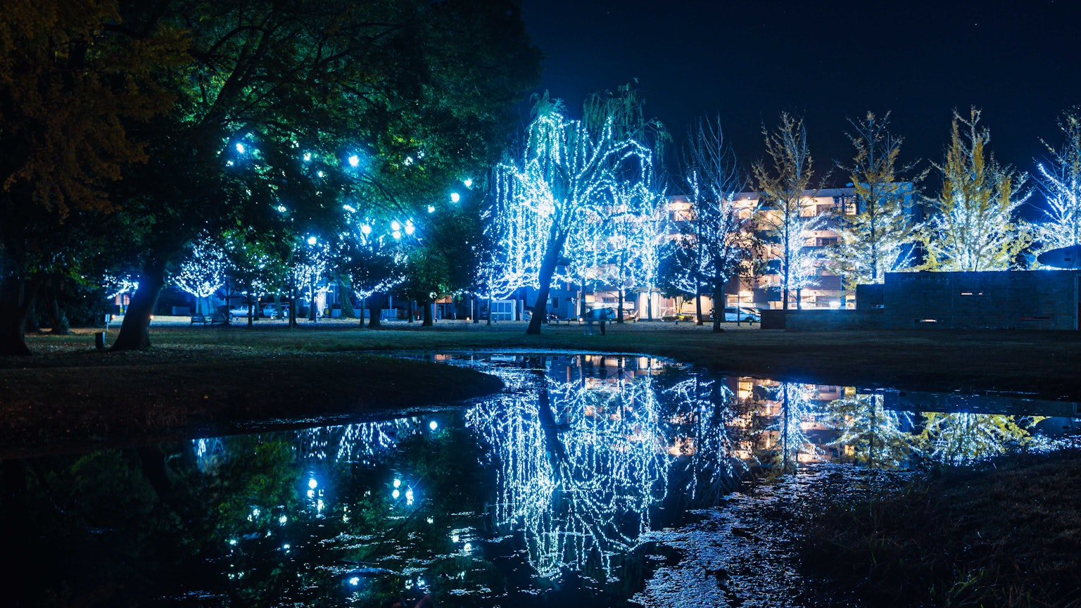 Night park scene with glowing blue lights and reflections on the water