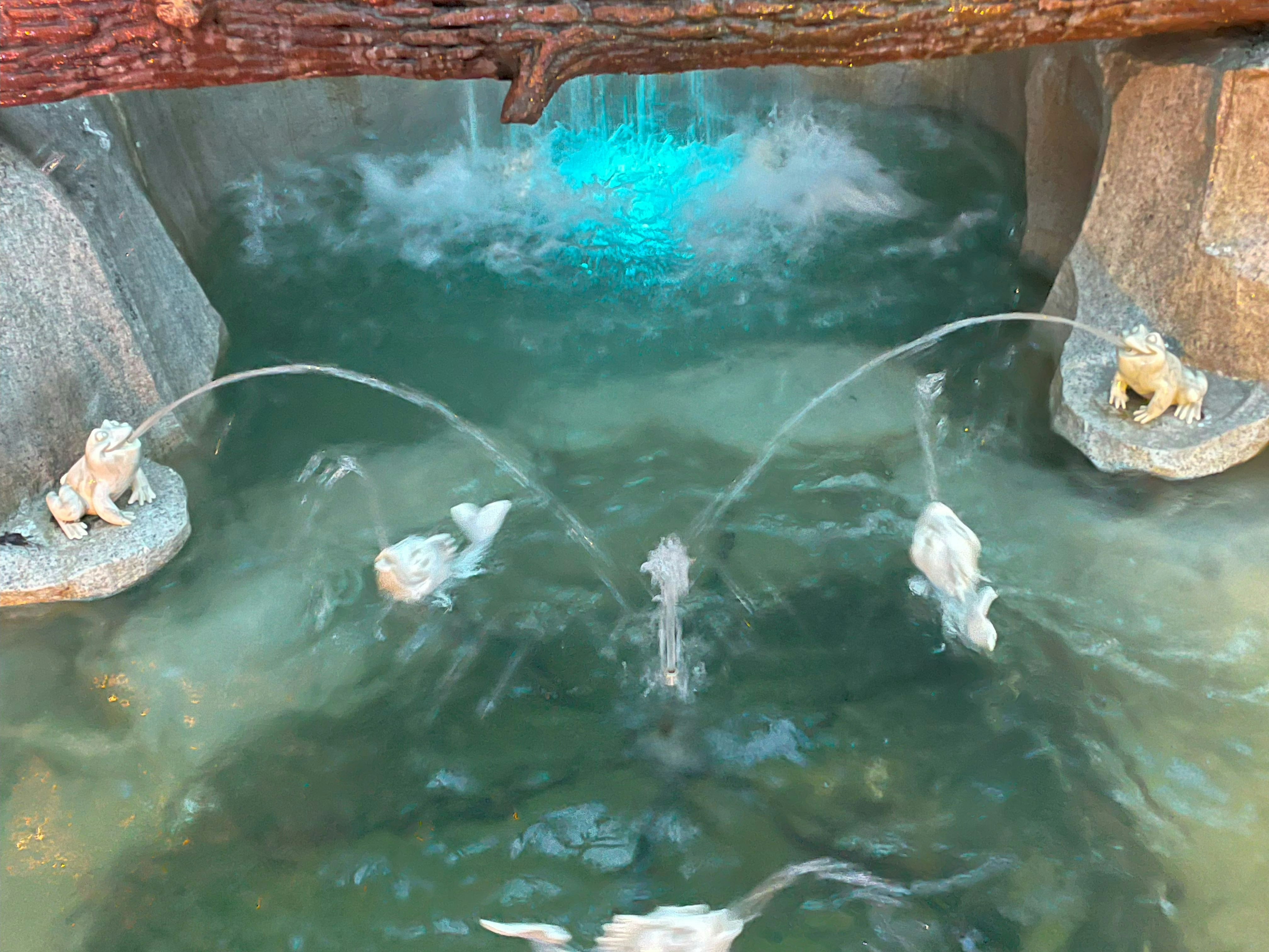 魚在水槽中游動的水面與漣漪