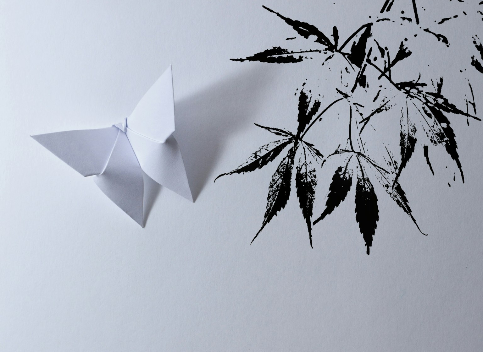 Sebuah karya seni mencolok yang menampilkan kupu-kupu origami putih dan daun hitam