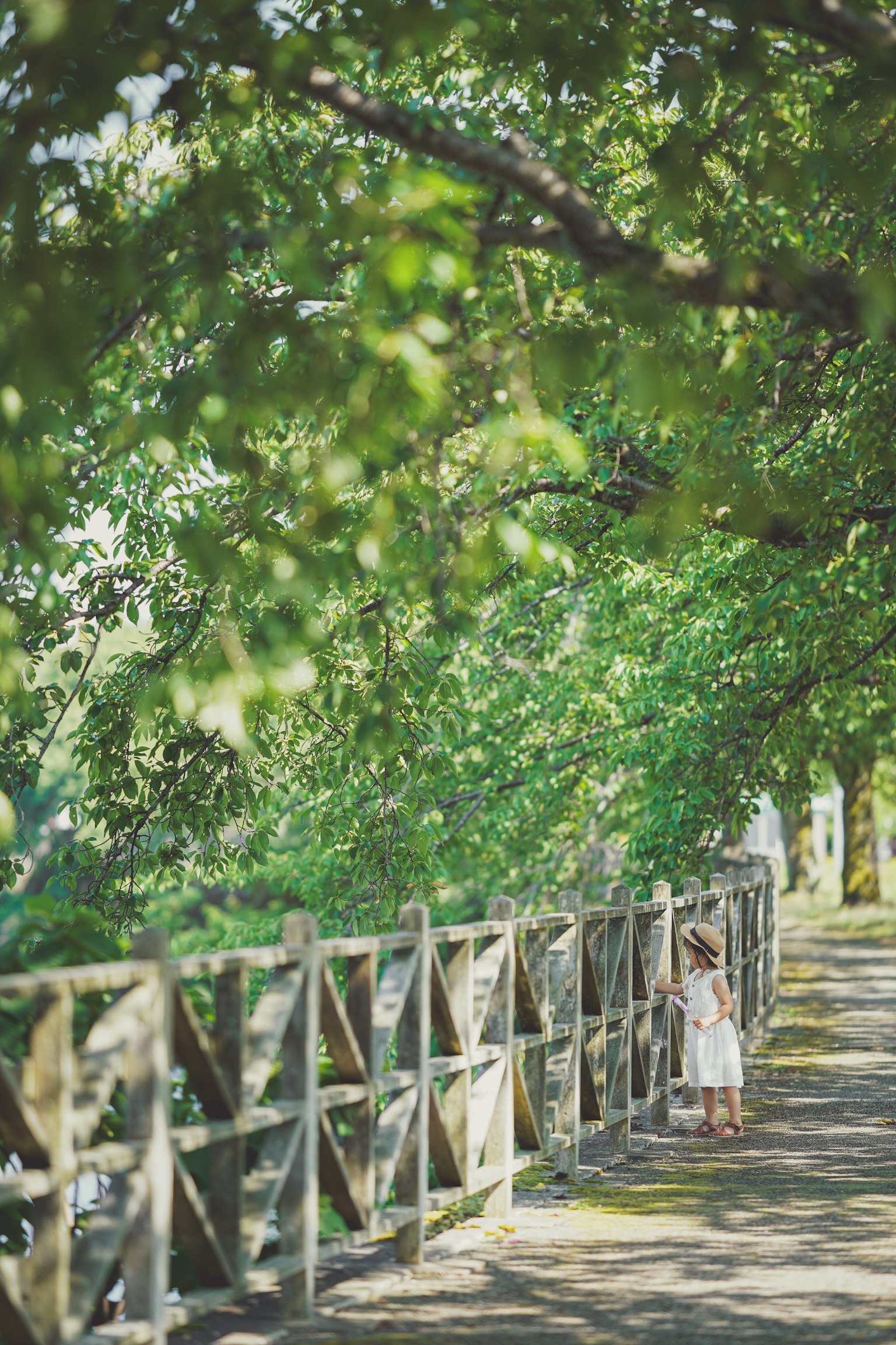 緑の木々に囲まれた小道に立つ子供の姿