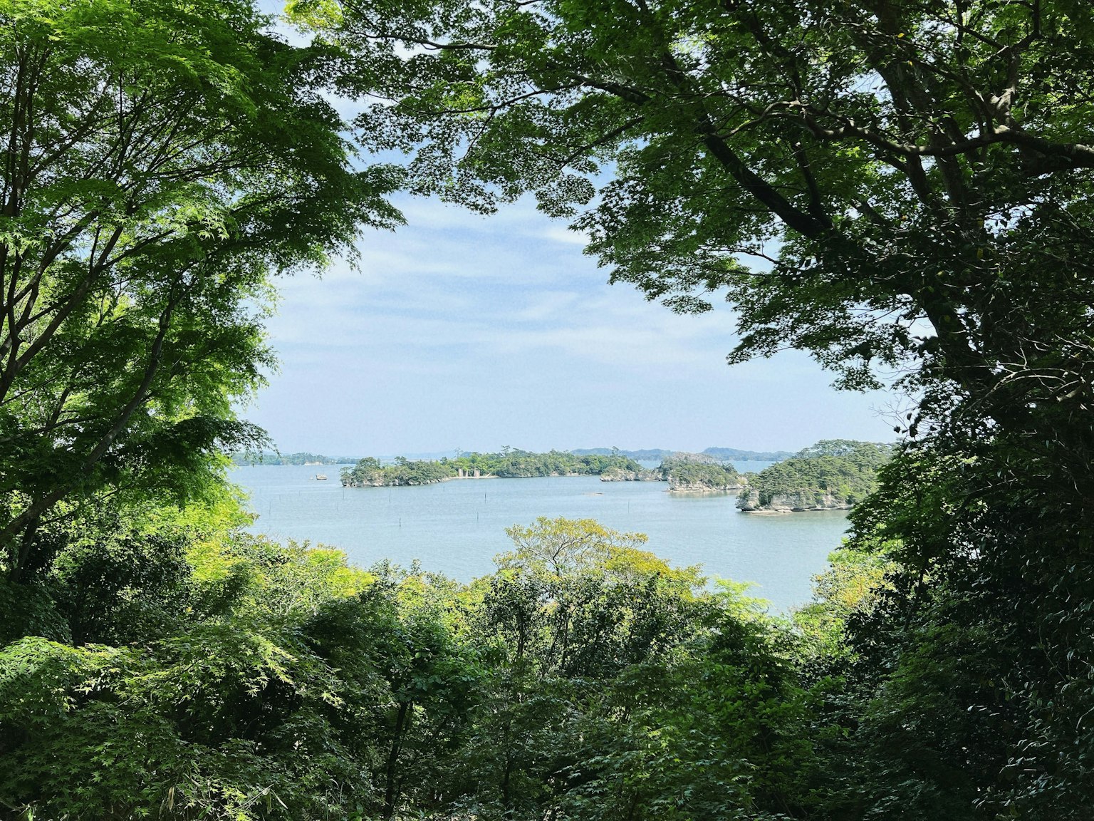 郁郁葱葱的树木框住的湖泊美景
