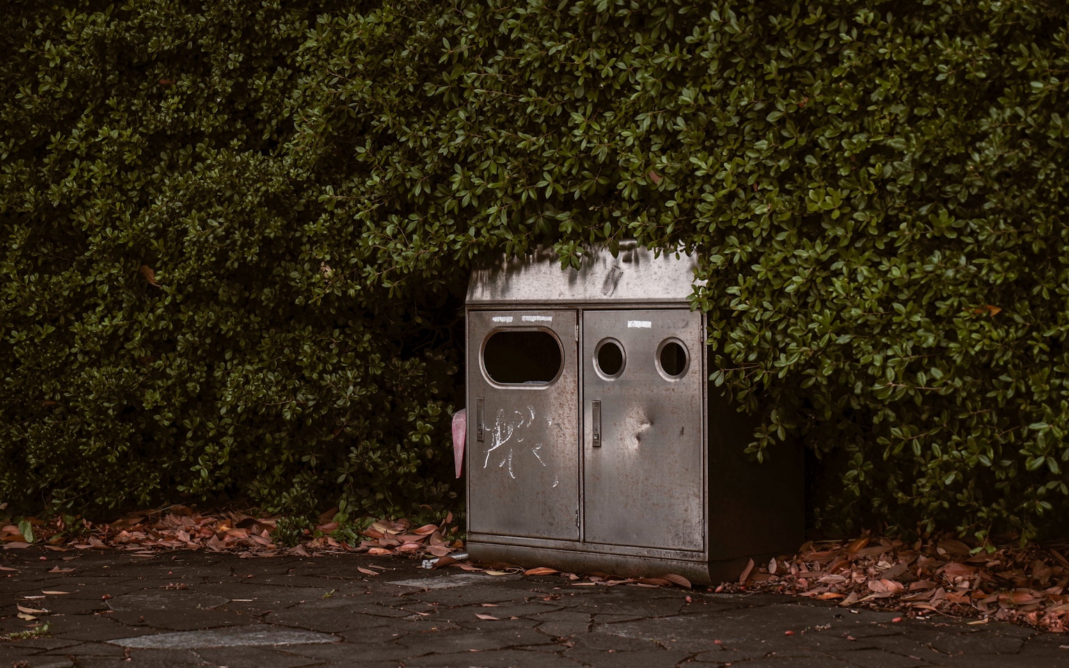 Viejo bote de basura de metal colocado frente a un seto verde