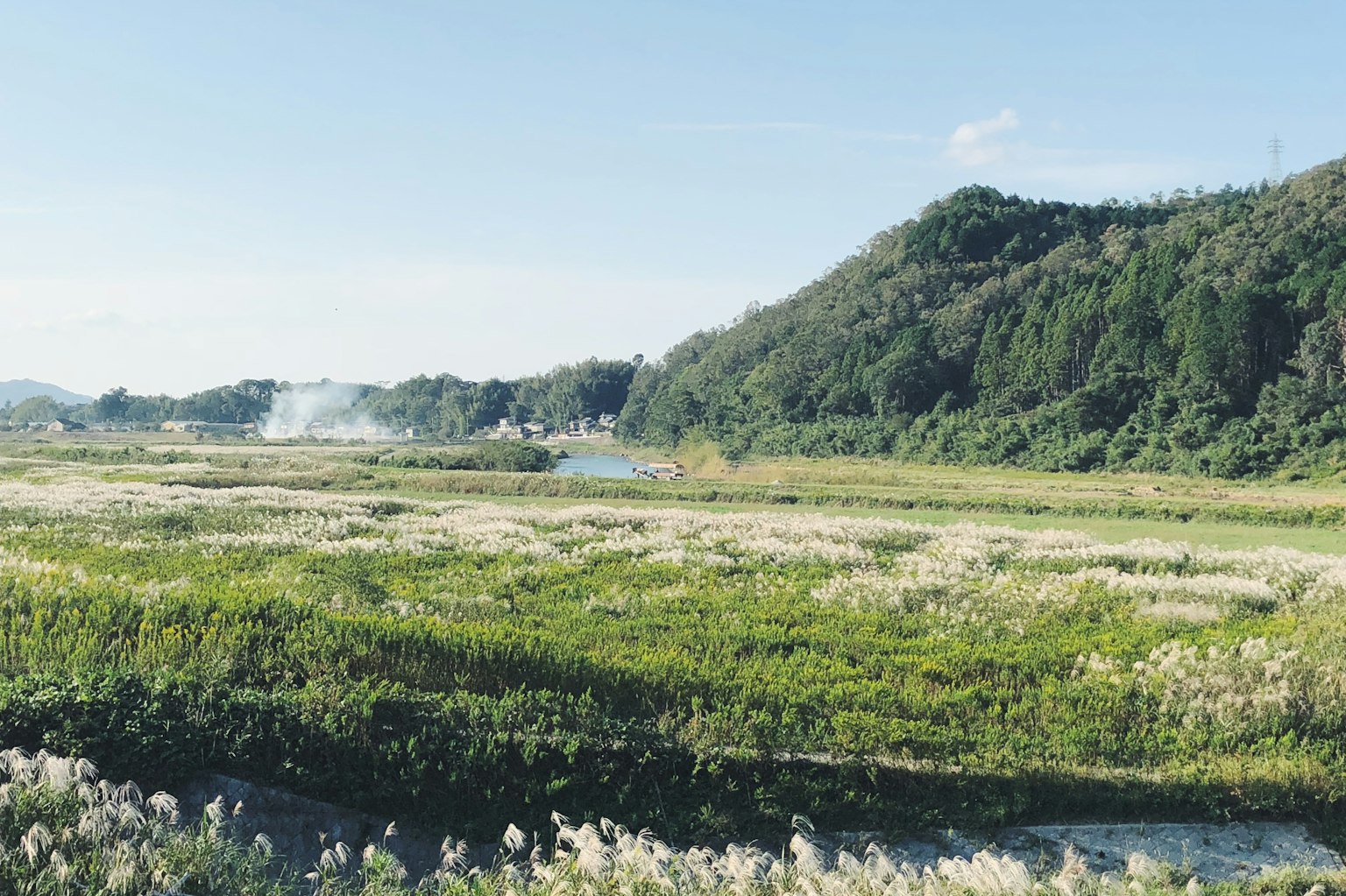 藍天下郁郁蔥蔥的綠地和河流風景