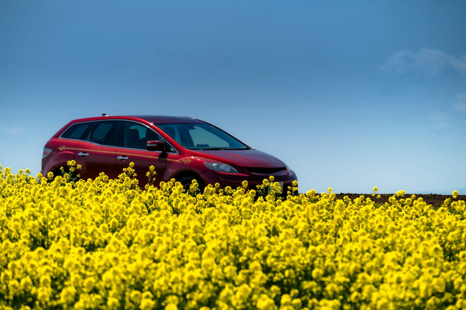 Un'auto rossa situata tra un campo di fiori gialli