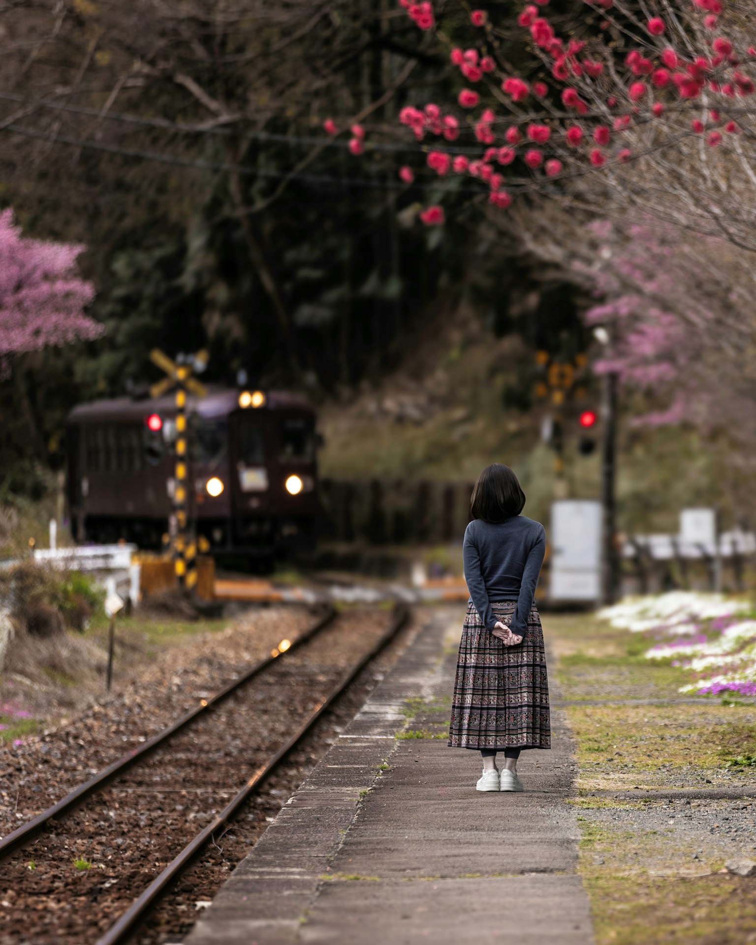 A woman standing near railway tracks with cherry blossom trees