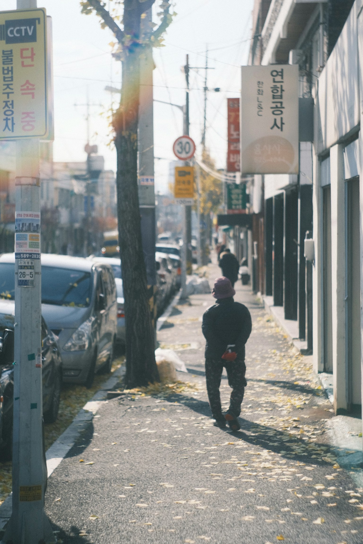Personas caminando por una acera con hojas de otoño y paisaje urbano