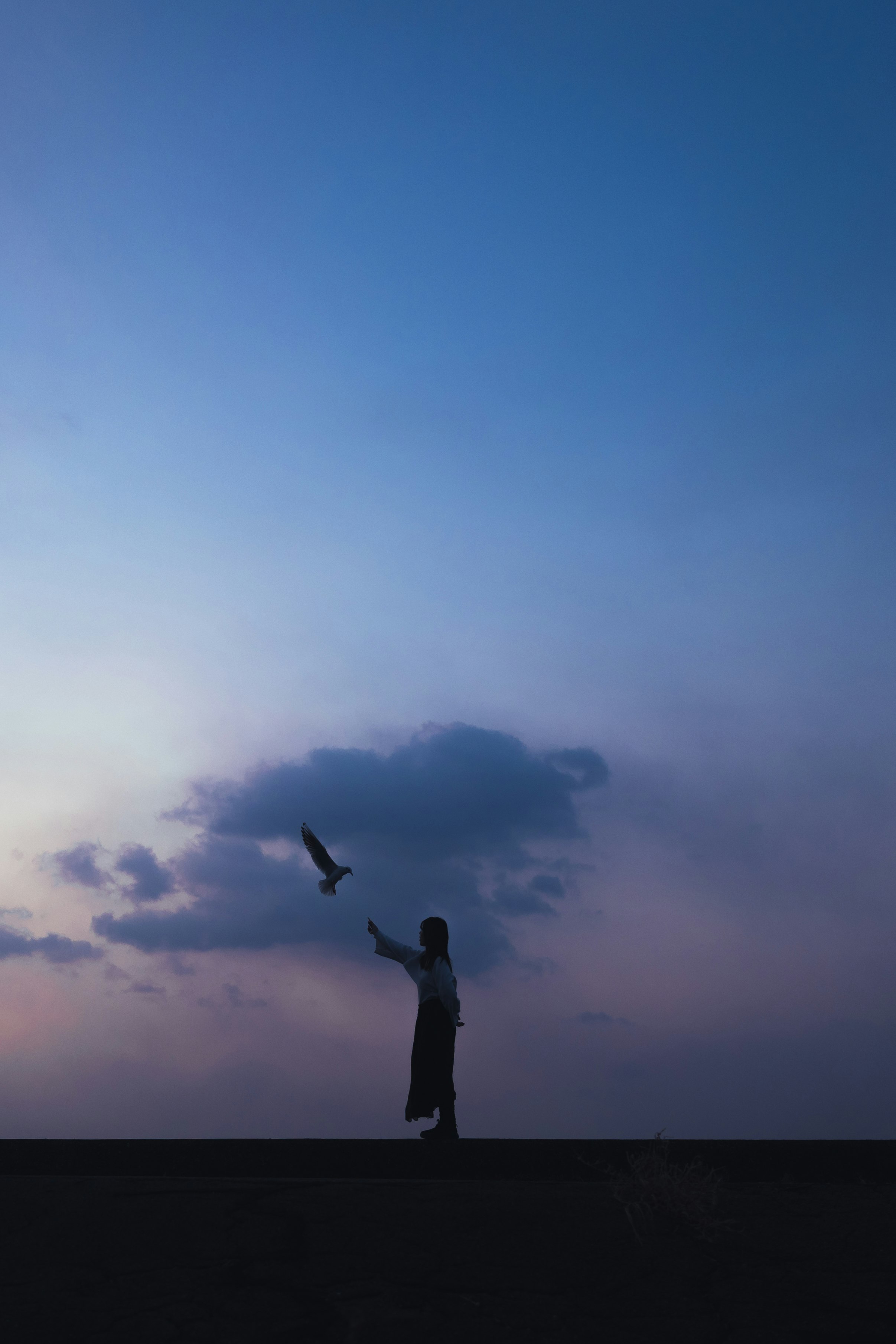 夕暮れの空を見上げる人のシルエット