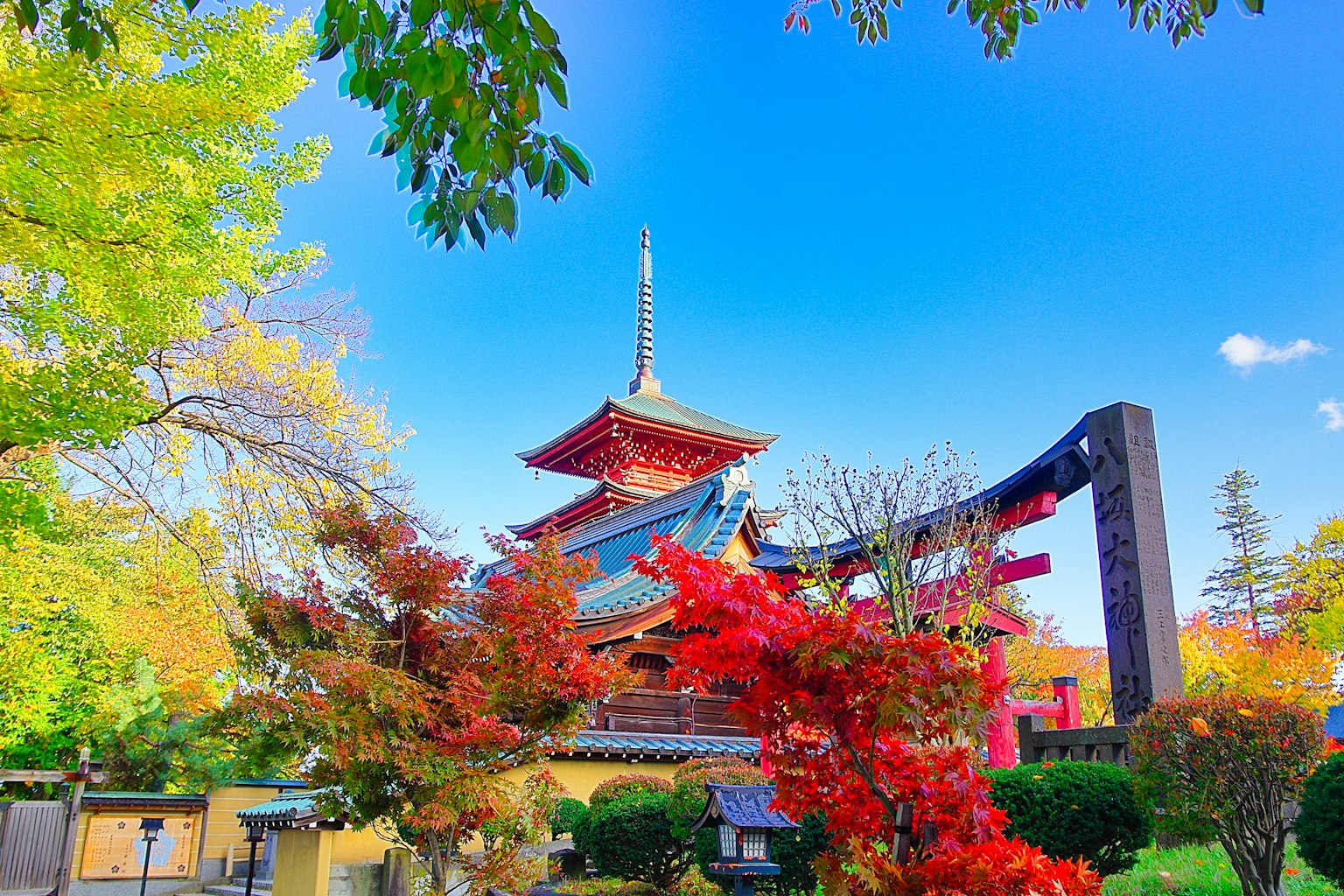 Ngôi đền Nhật Bản truyền thống được bao quanh bởi lá mùa thu rực rỡ và bầu trời trong xanh
