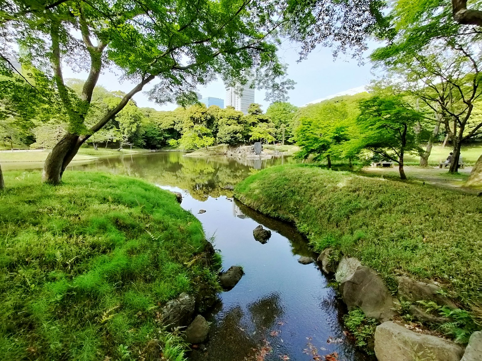 郁郁蔥蔥的公園風景，池塘和小溪