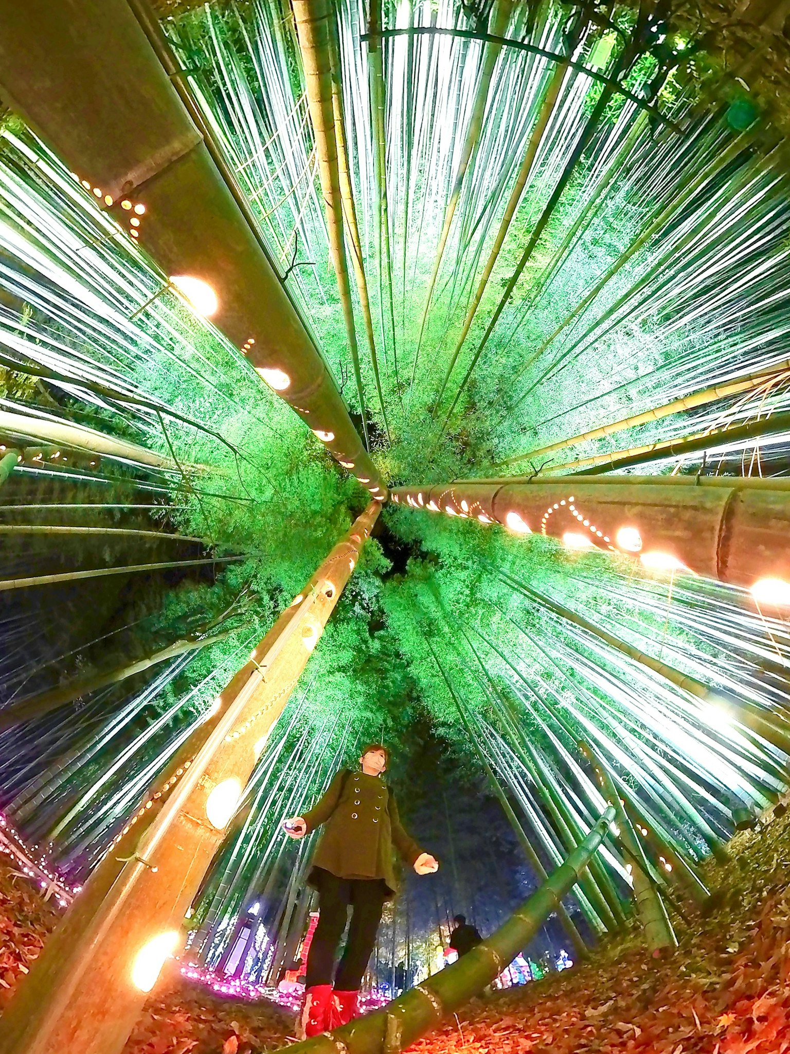 Personne se tenant dans un tunnel de bambou illuminé par des lumières vertes