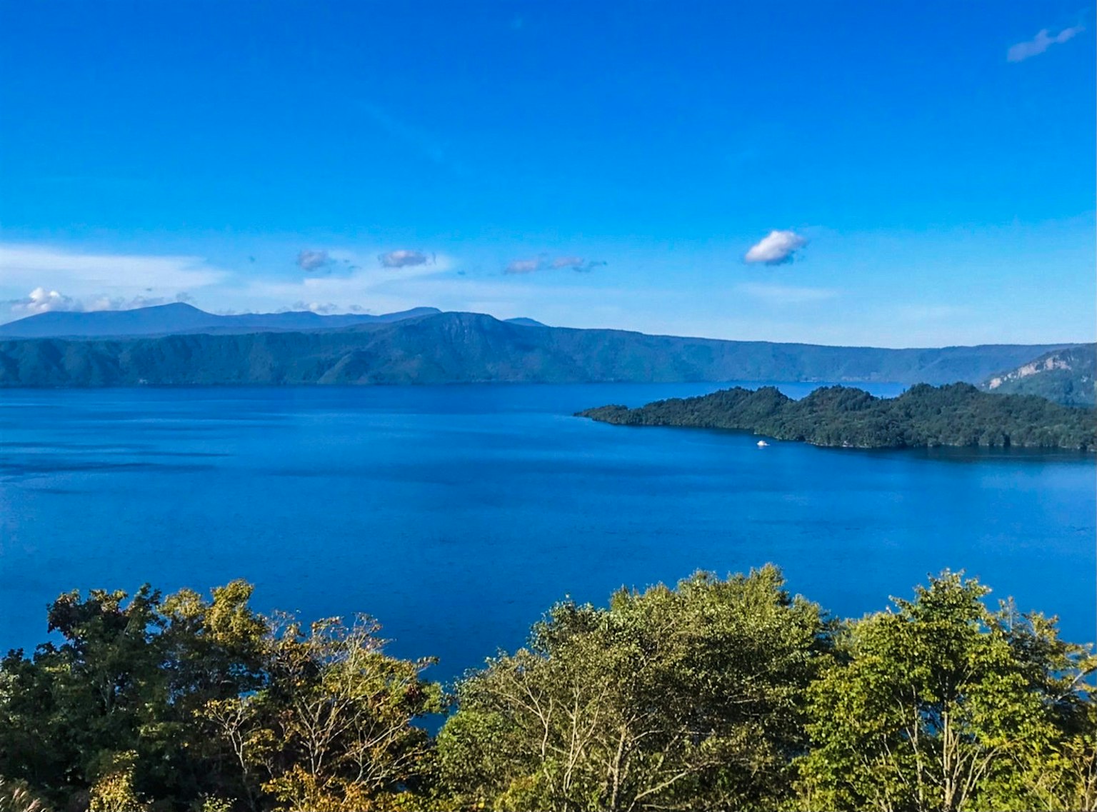 Malersicher Blick auf einen See umgeben von Grün und blauem Himmel