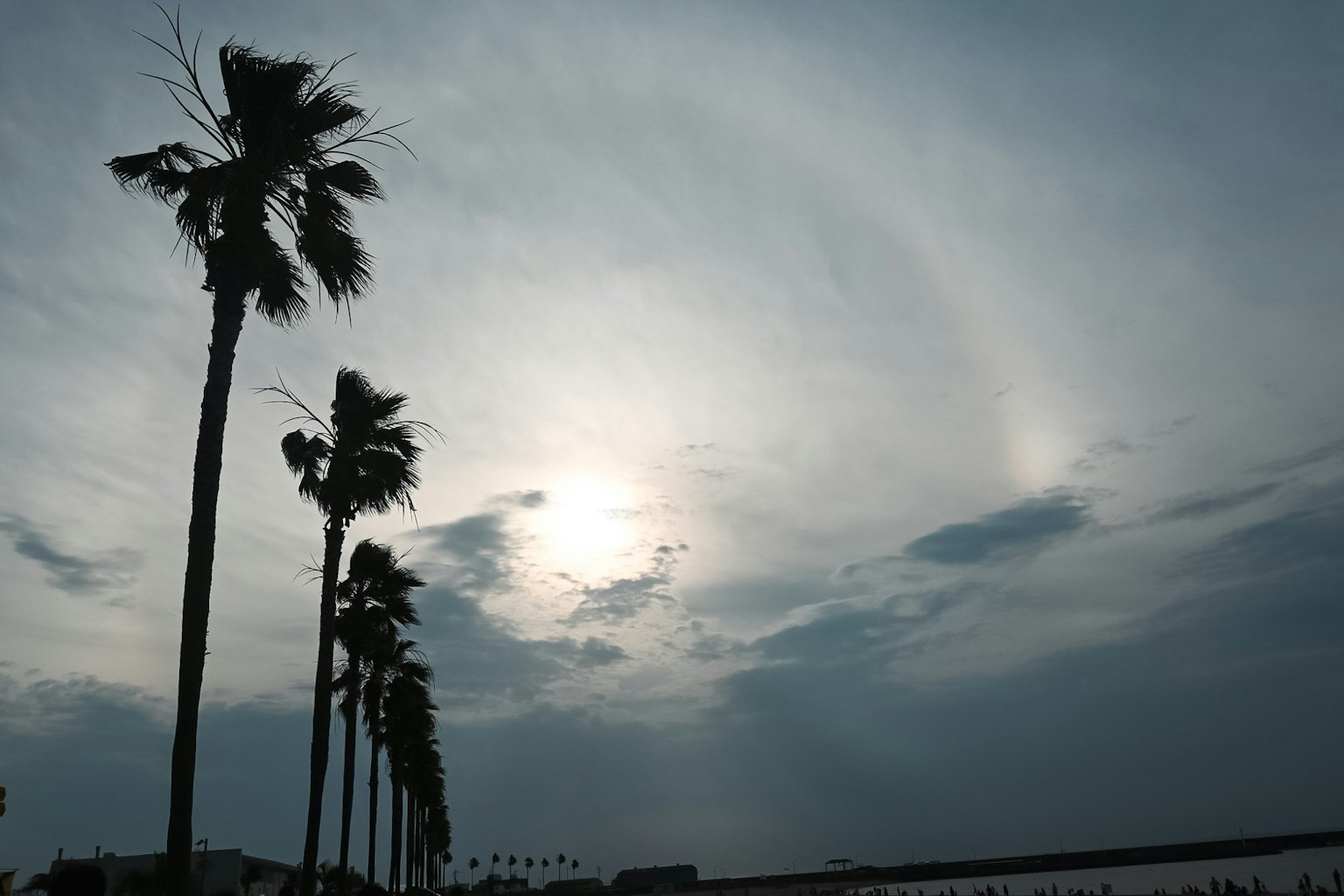 雲霧繚繞的天空中，椰子樹的輪廓與太陽的光環