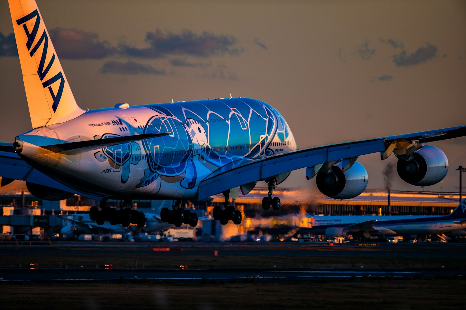 Aereo della ANA con livrea speciale che decolla al tramonto all'aeroporto