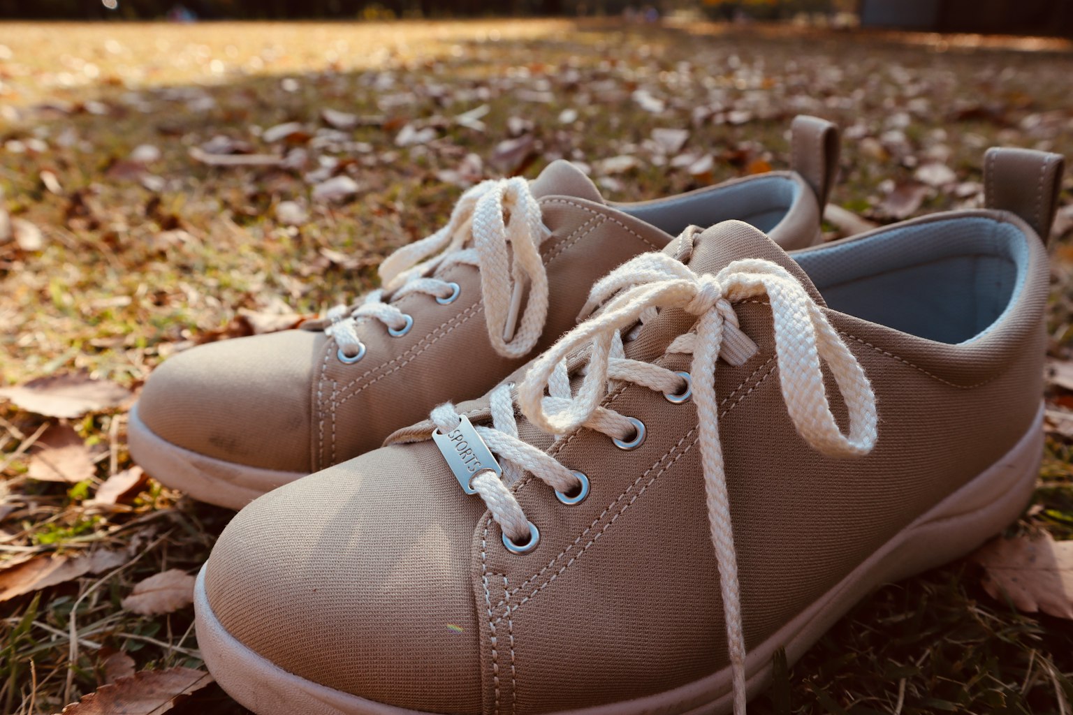 Beige sneakers placed on fallen leaves