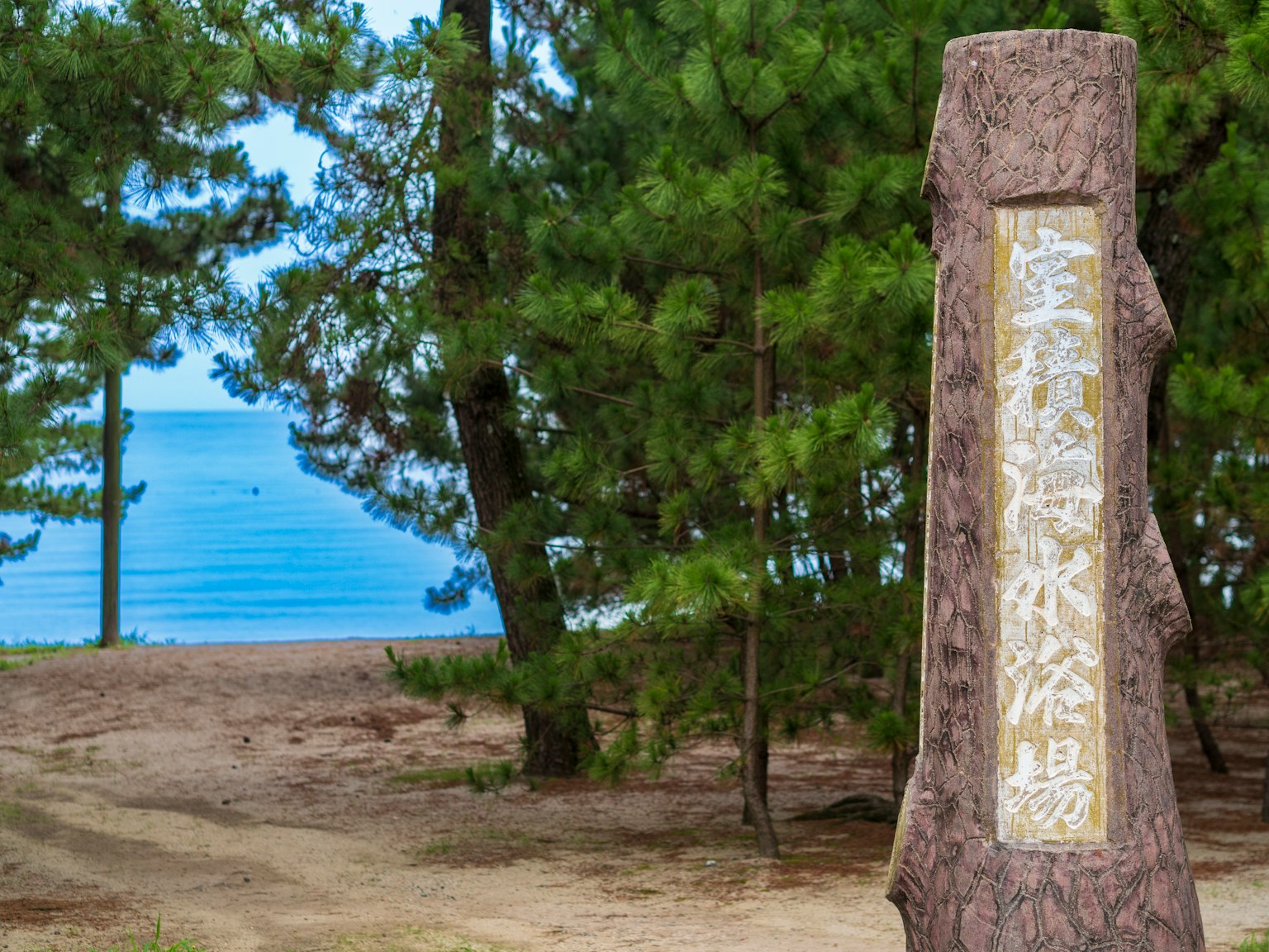 Cartel de madera en un bosque de pinos con vista al mar