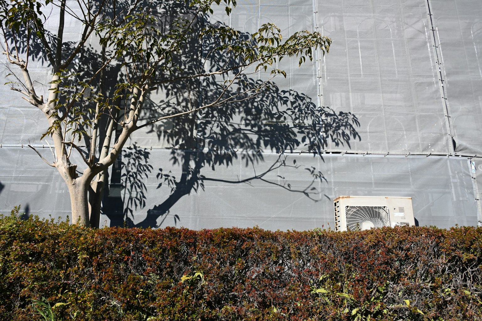 Landscape featuring a building's exterior wall and tree silhouette