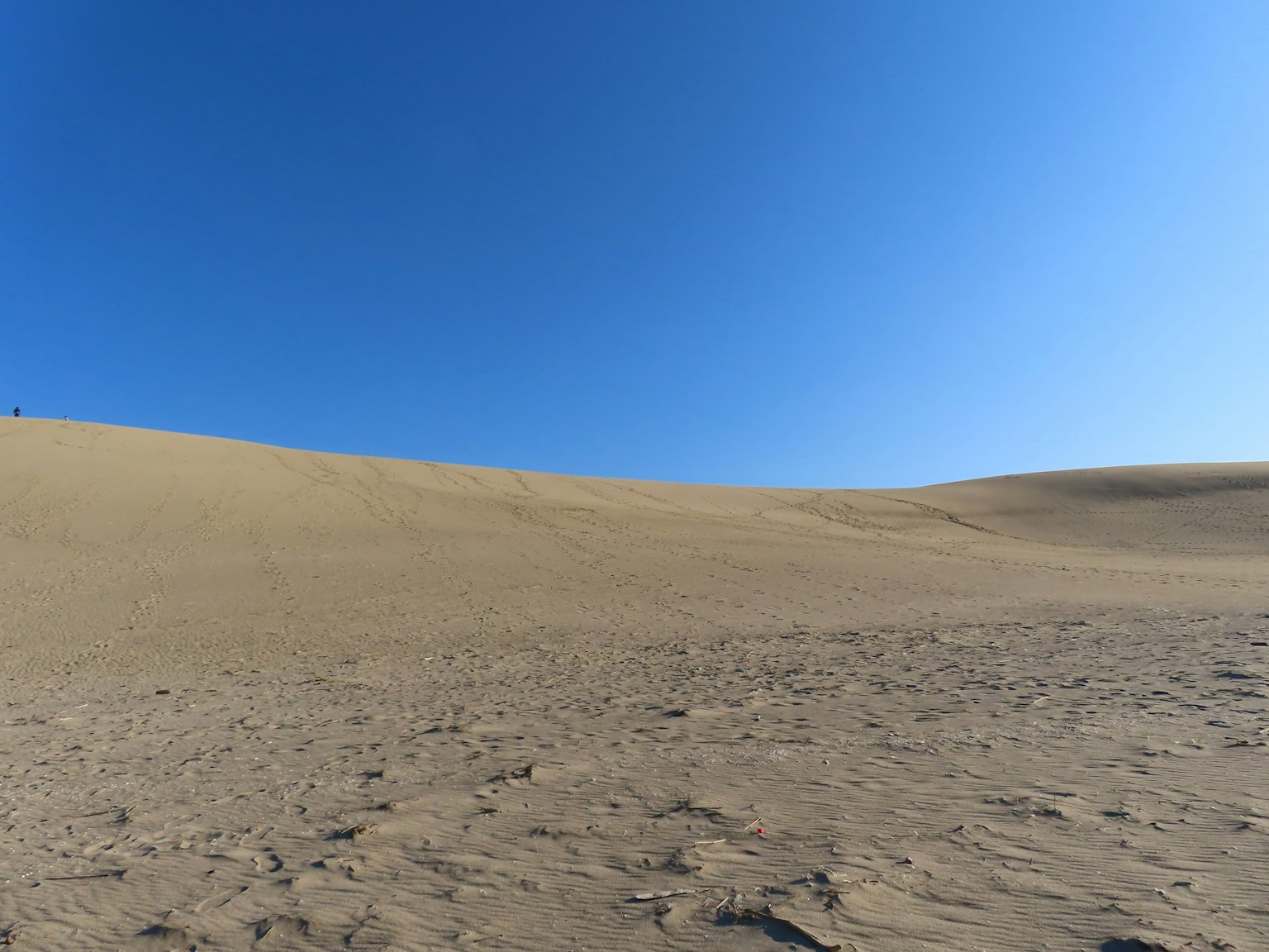 青空の下の広大な砂丘と平坦な砂の地面