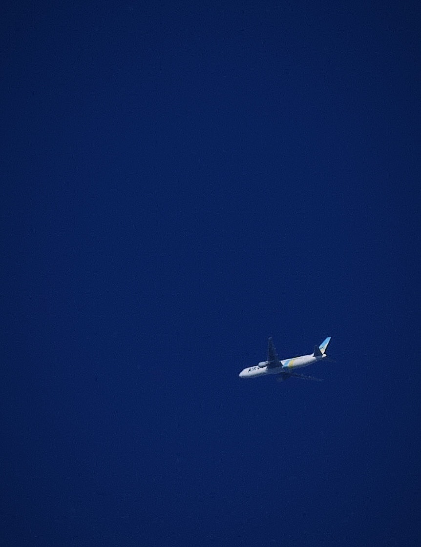青空を背景に飛行する白い旅客機