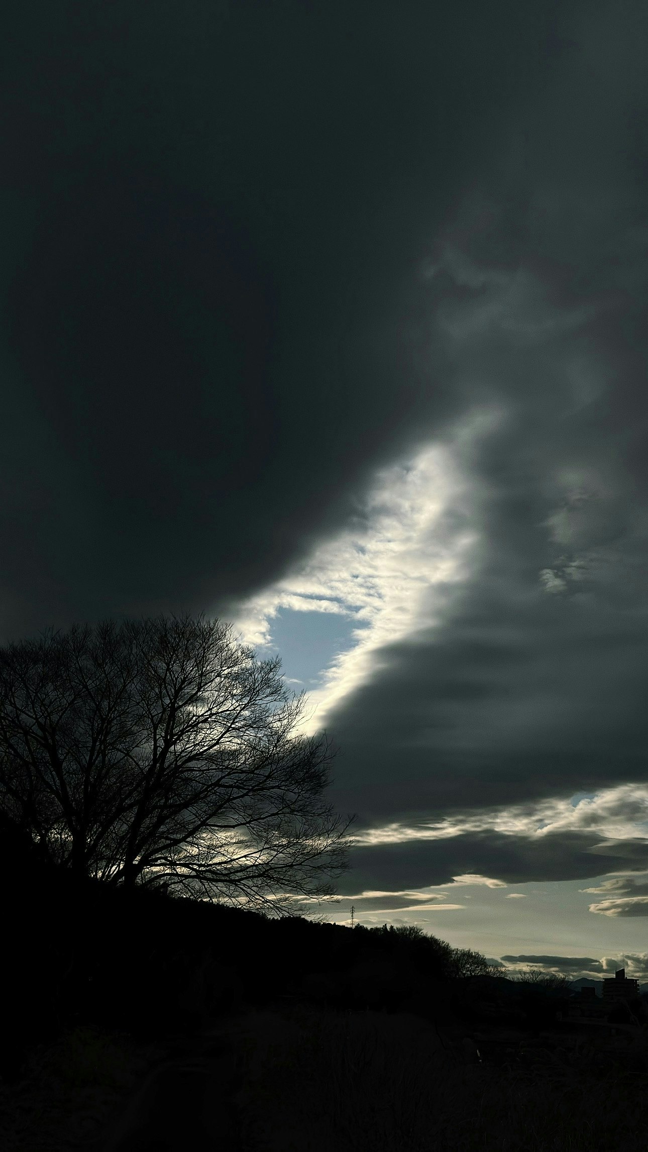Morgendämmerungshimmel mit Lichtstrahlen durch Wolken und Baum-Silhouetten