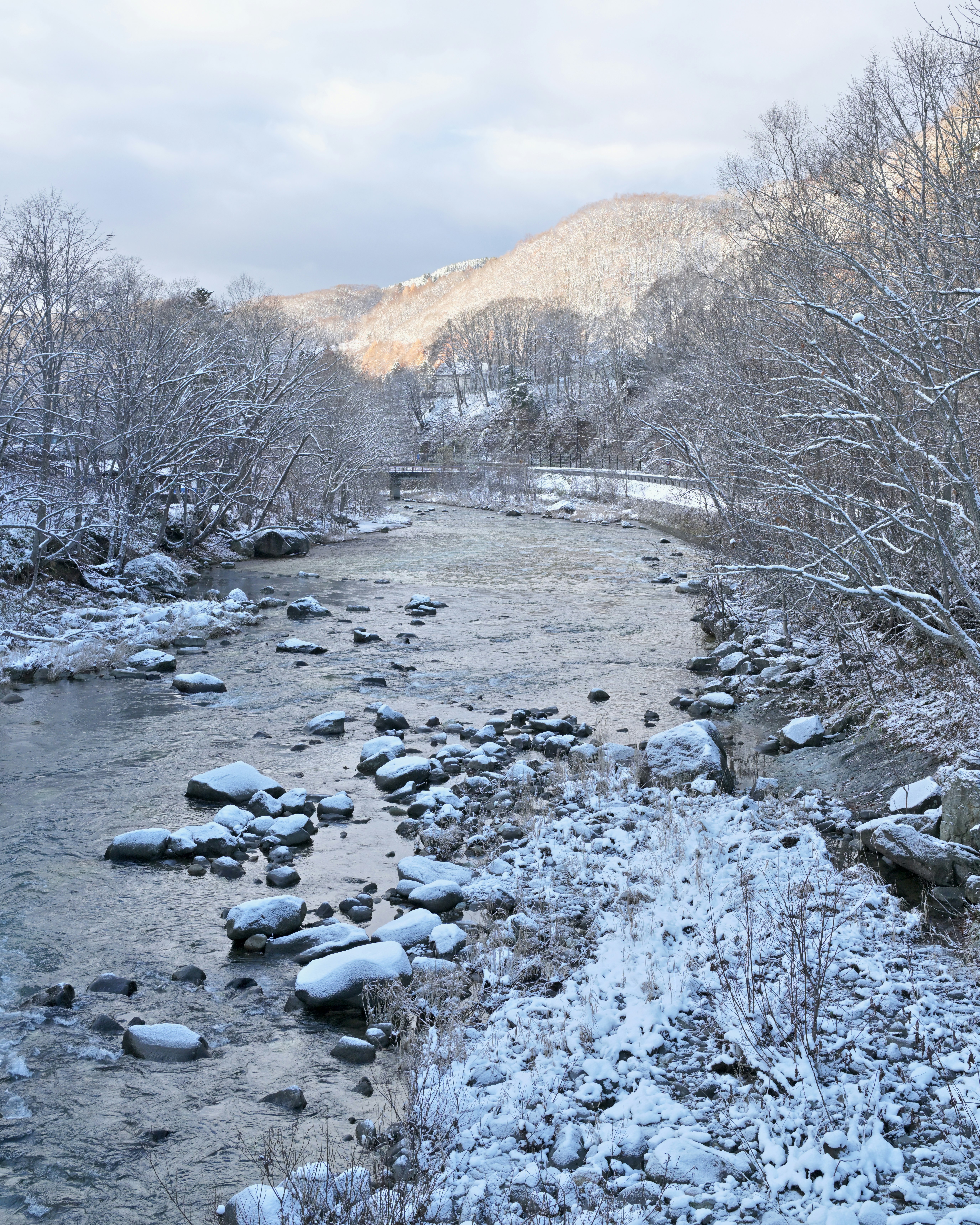 雪に覆われた川と樹氷のような木々の流れる北海道伊達市・支笏洞爺国立公園の冬景色