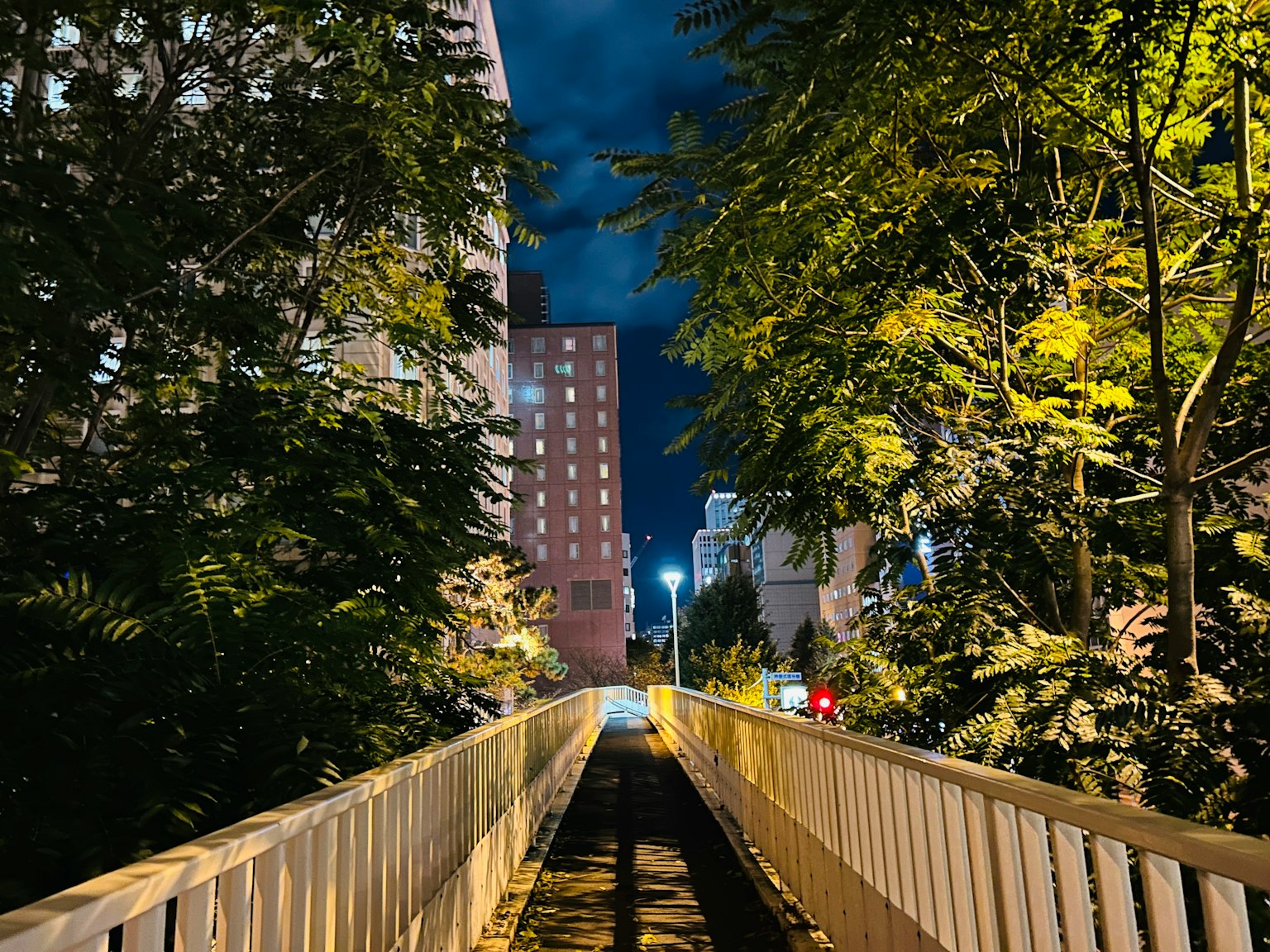 Night view of a walkway with white railing surrounded by trees and buildings