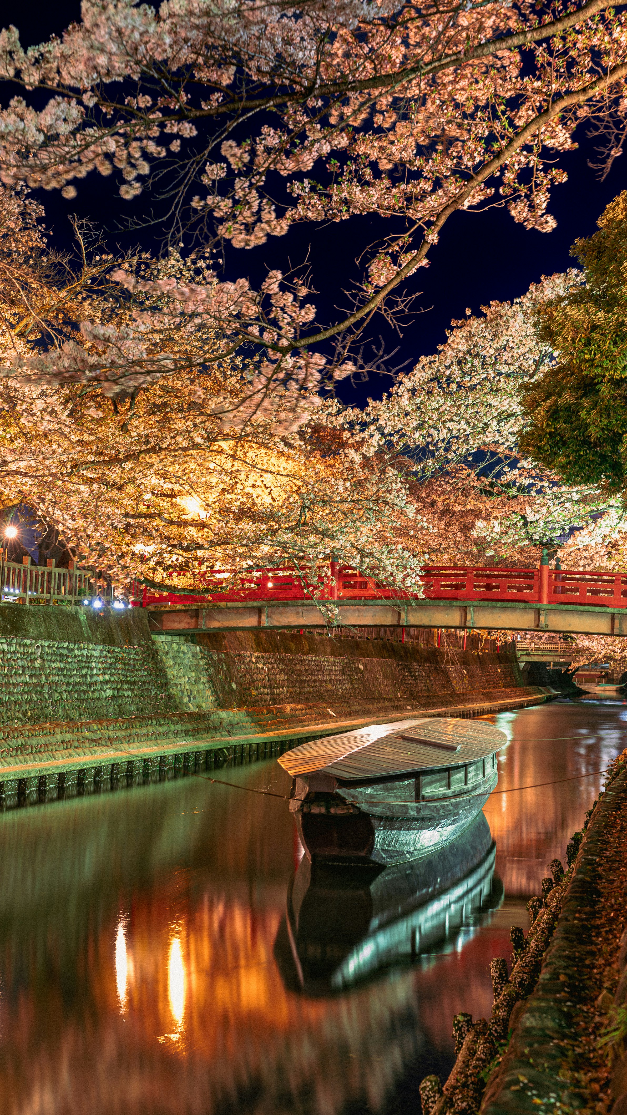 夜の桜並木と赤い橋が映る川沿いの風景