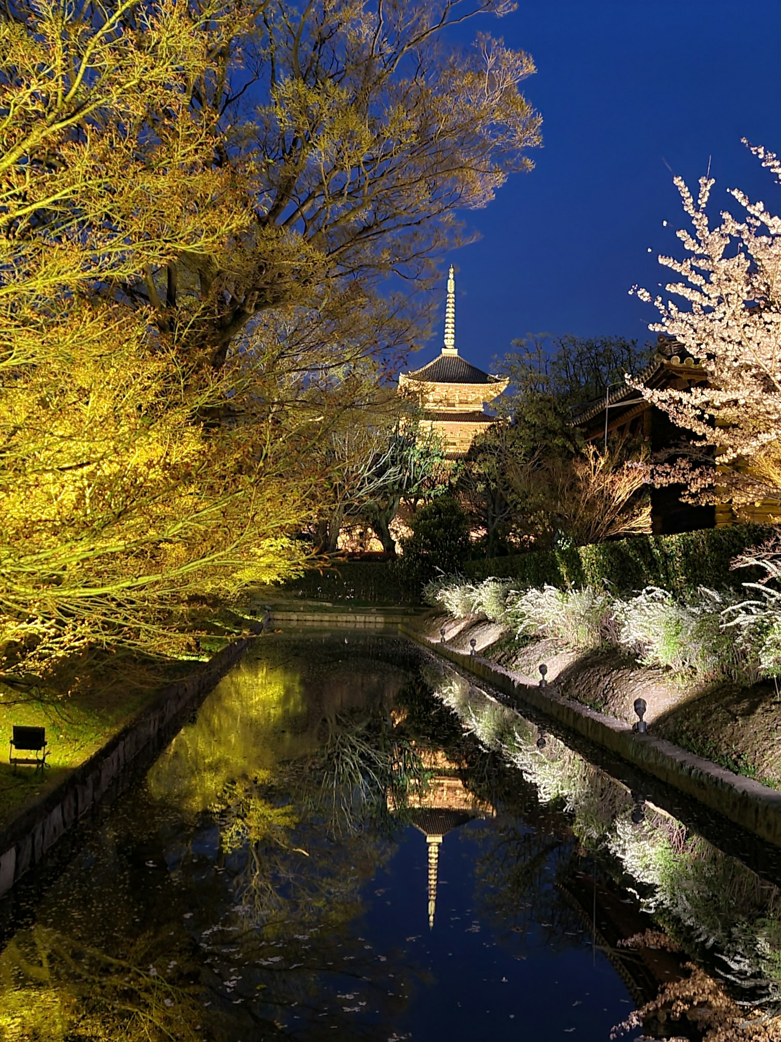 Pemandangan malam yang indah di taman dengan bunga sakura yang memantulkan di air