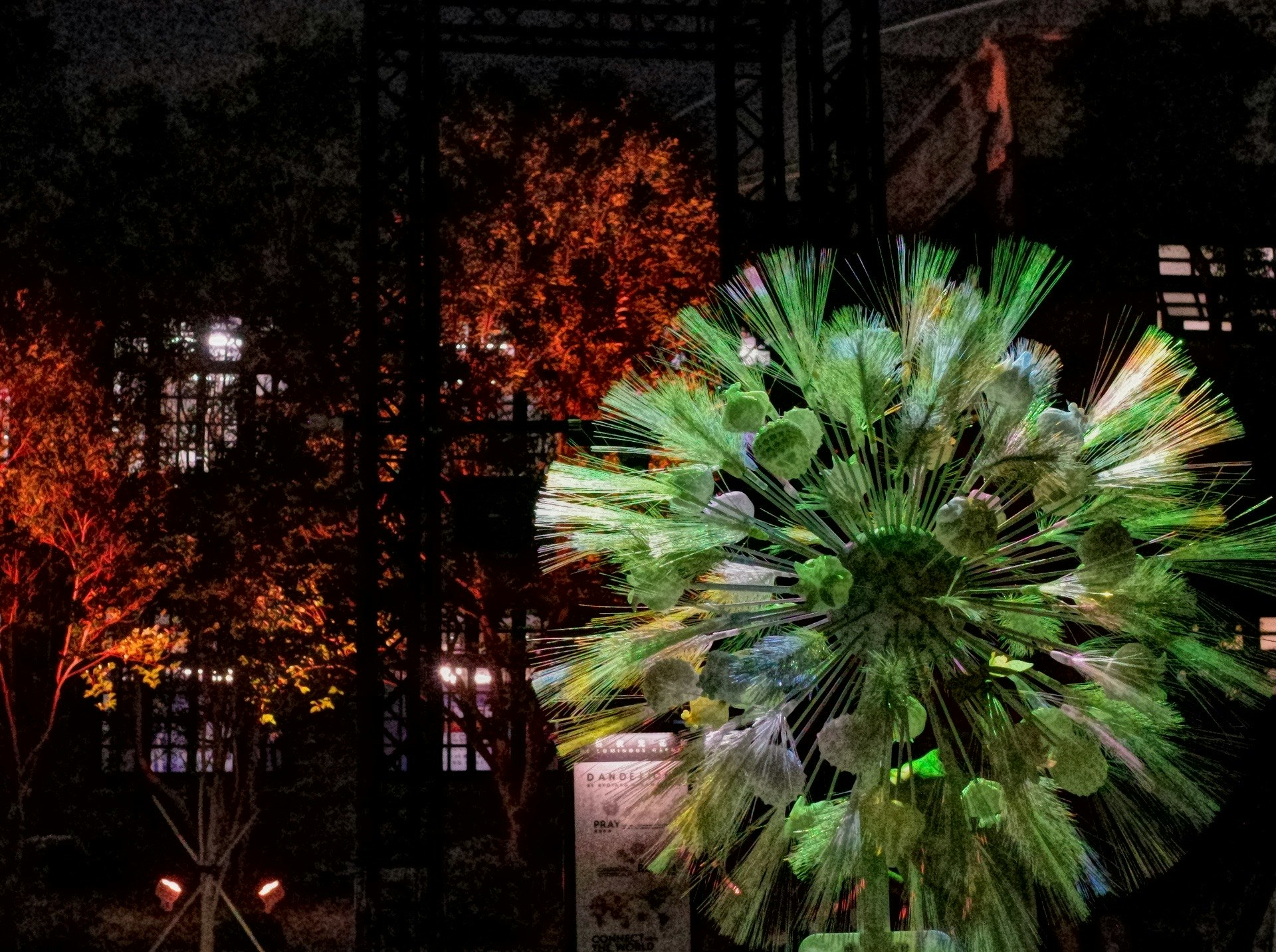 scène nocturne dans un parc avec décoration lumineuse façon feu d’artifice et arbres d’automne