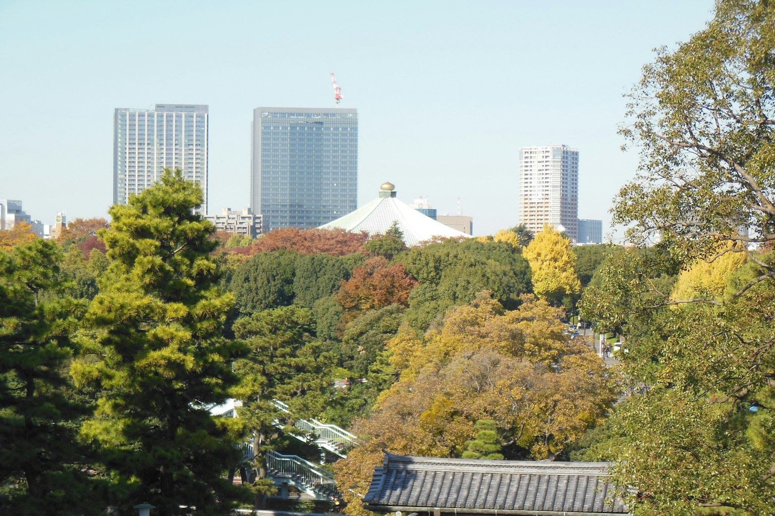 東京秋季景觀與天際線和樹木